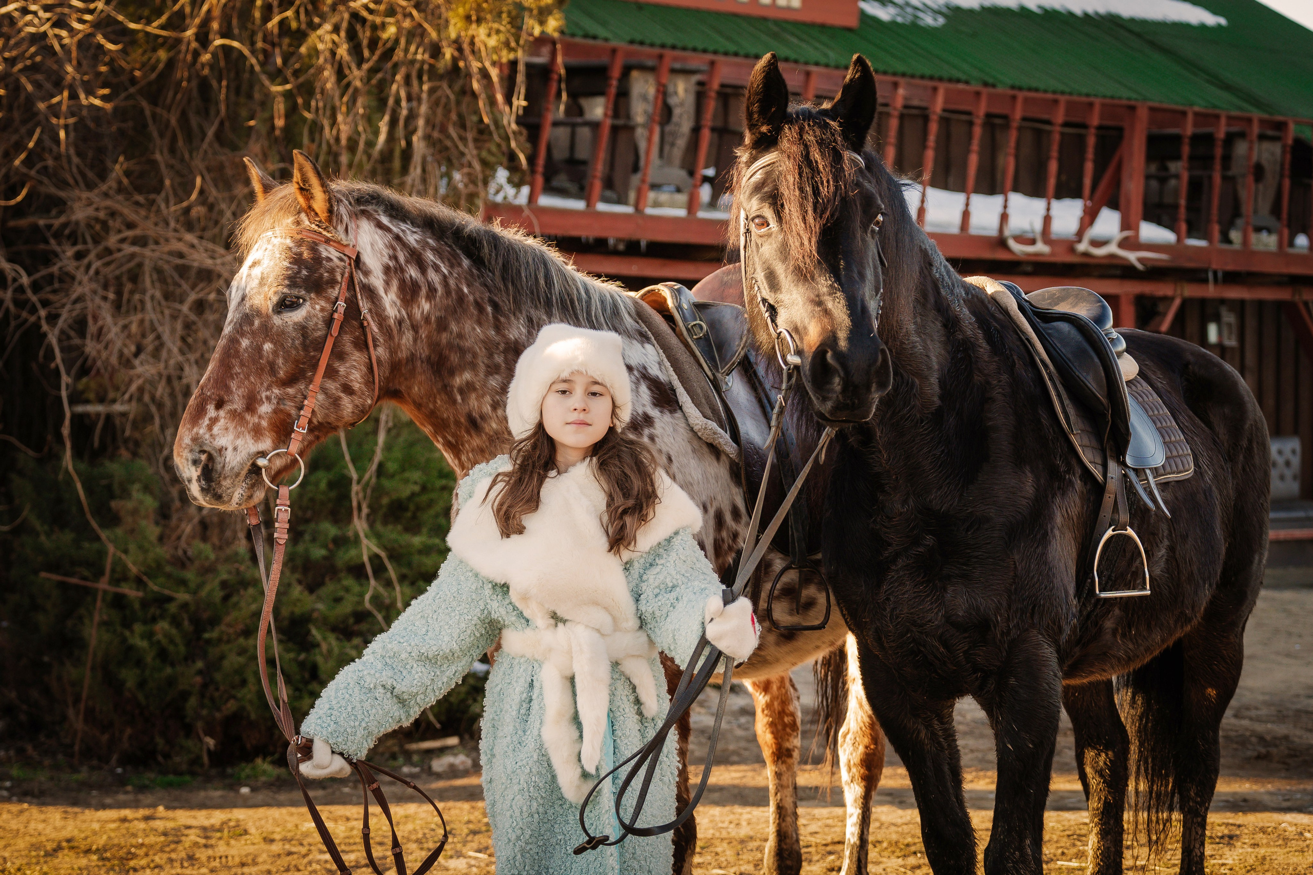 Фотосъемки с животными. Главная