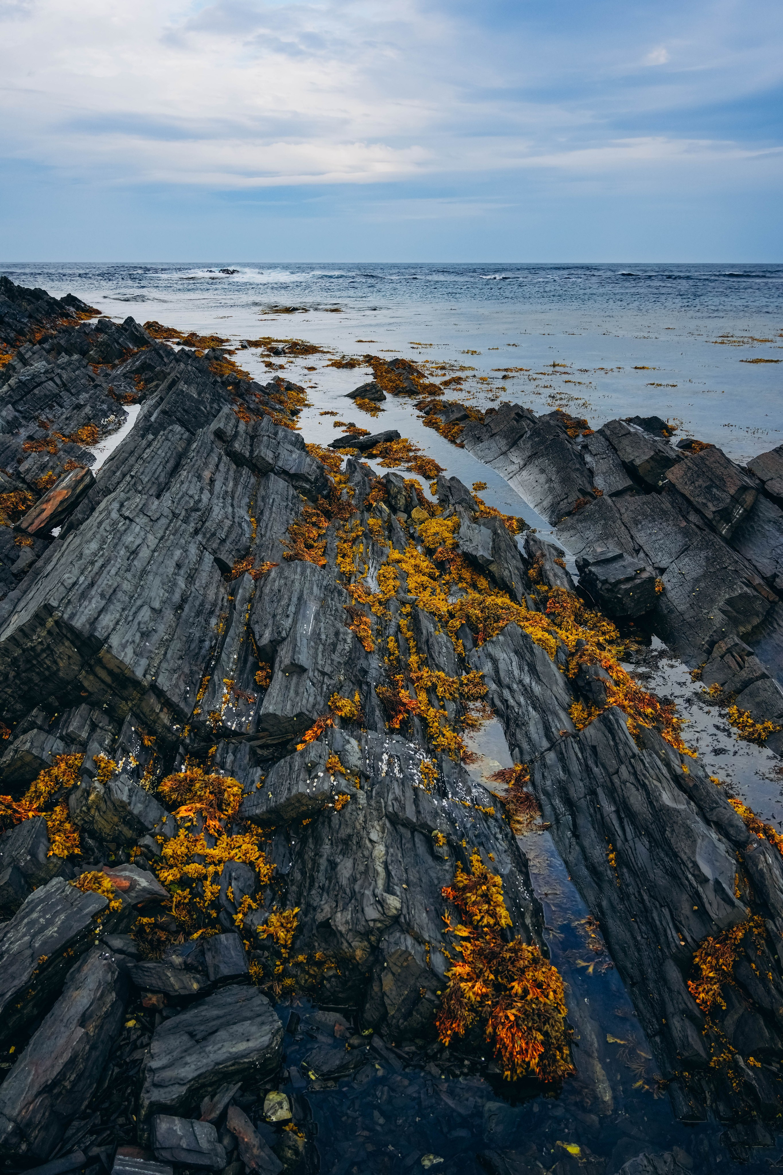 СЕВЕР. Event фотограф Степанова Александра