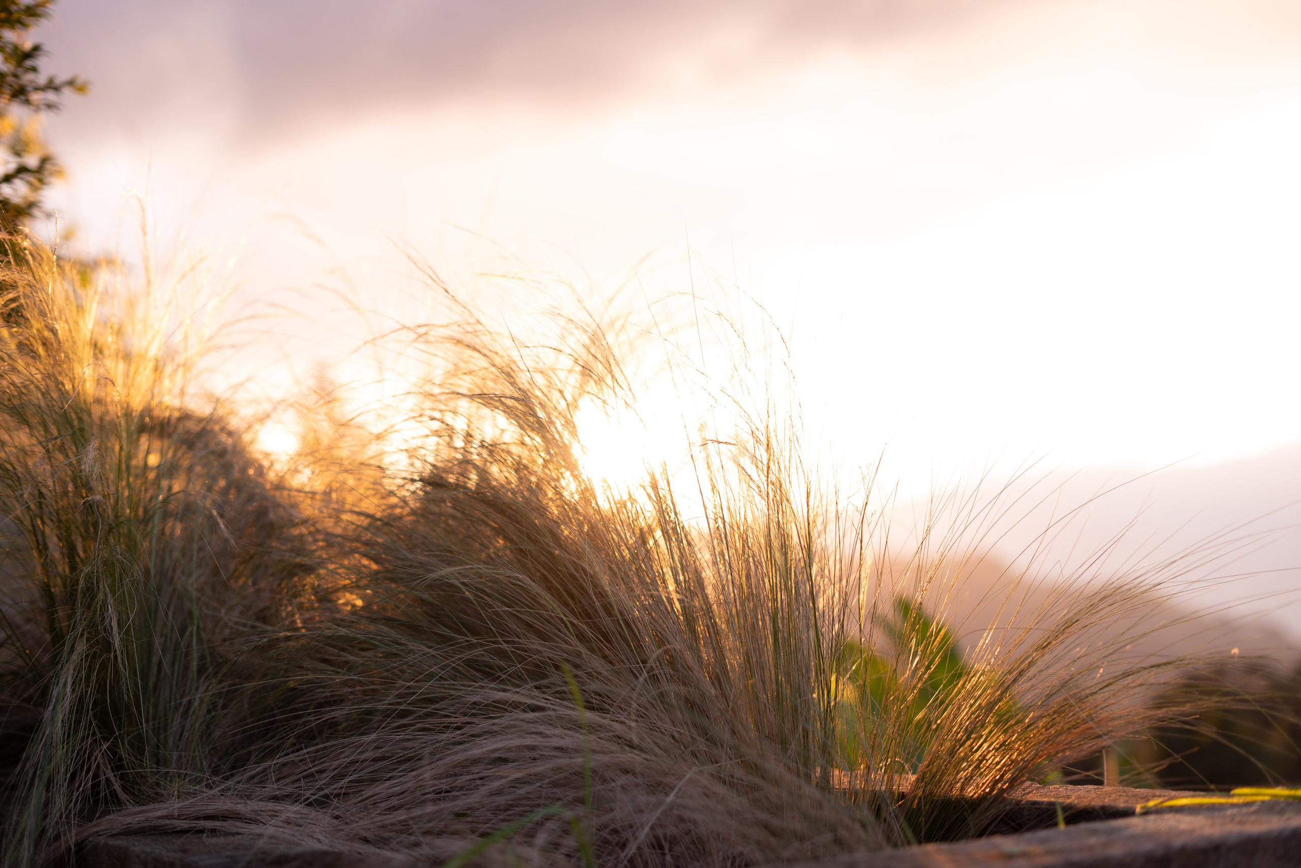 Natalia and Germano. Wedding Photographer in Barcelona and Medellin
