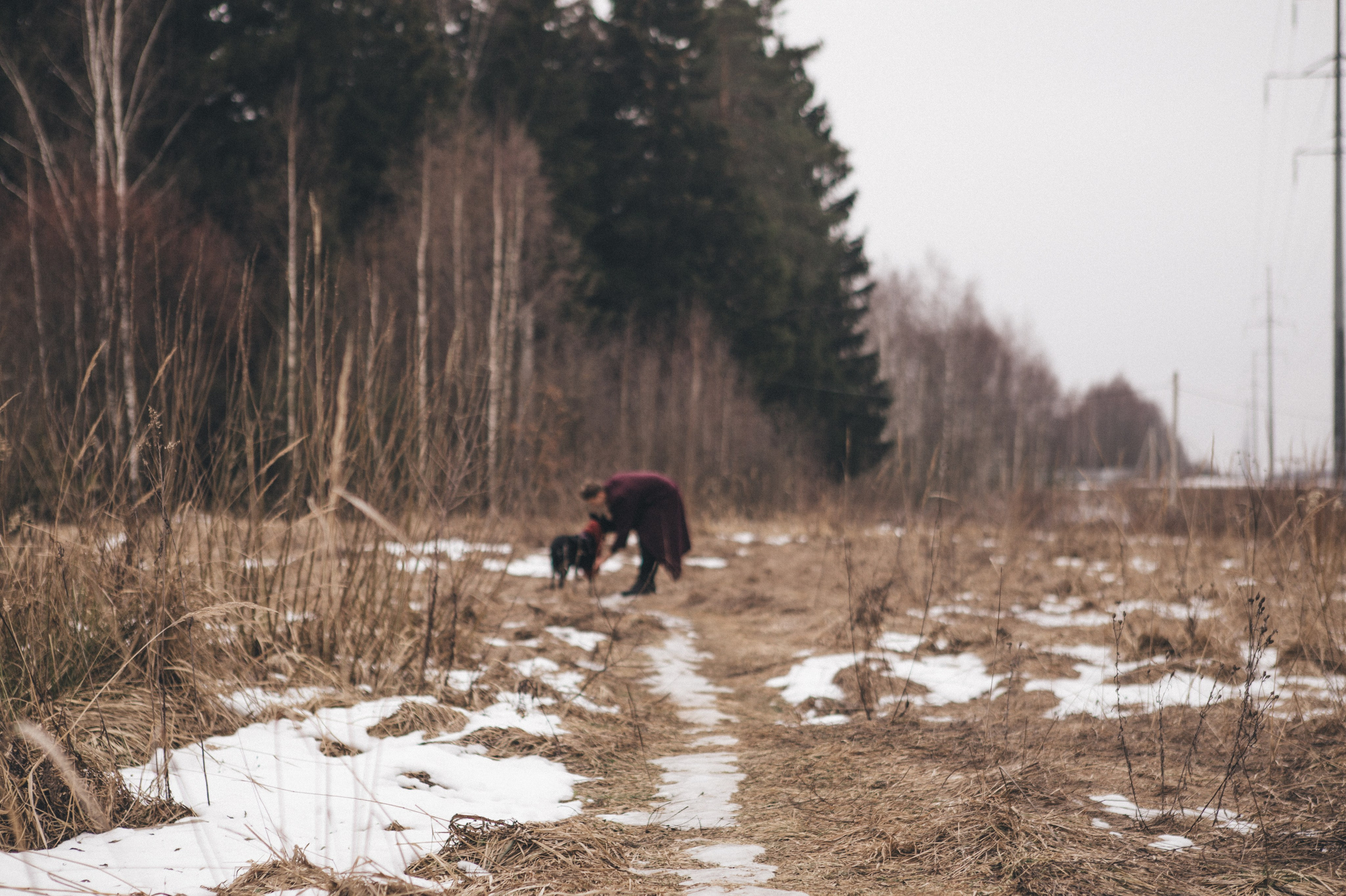 A cinematic tale of true love and unbreakable friendship between a man and a dog. Portrait, family and pet photographer in Cyprus, Ksenia Bourdelle