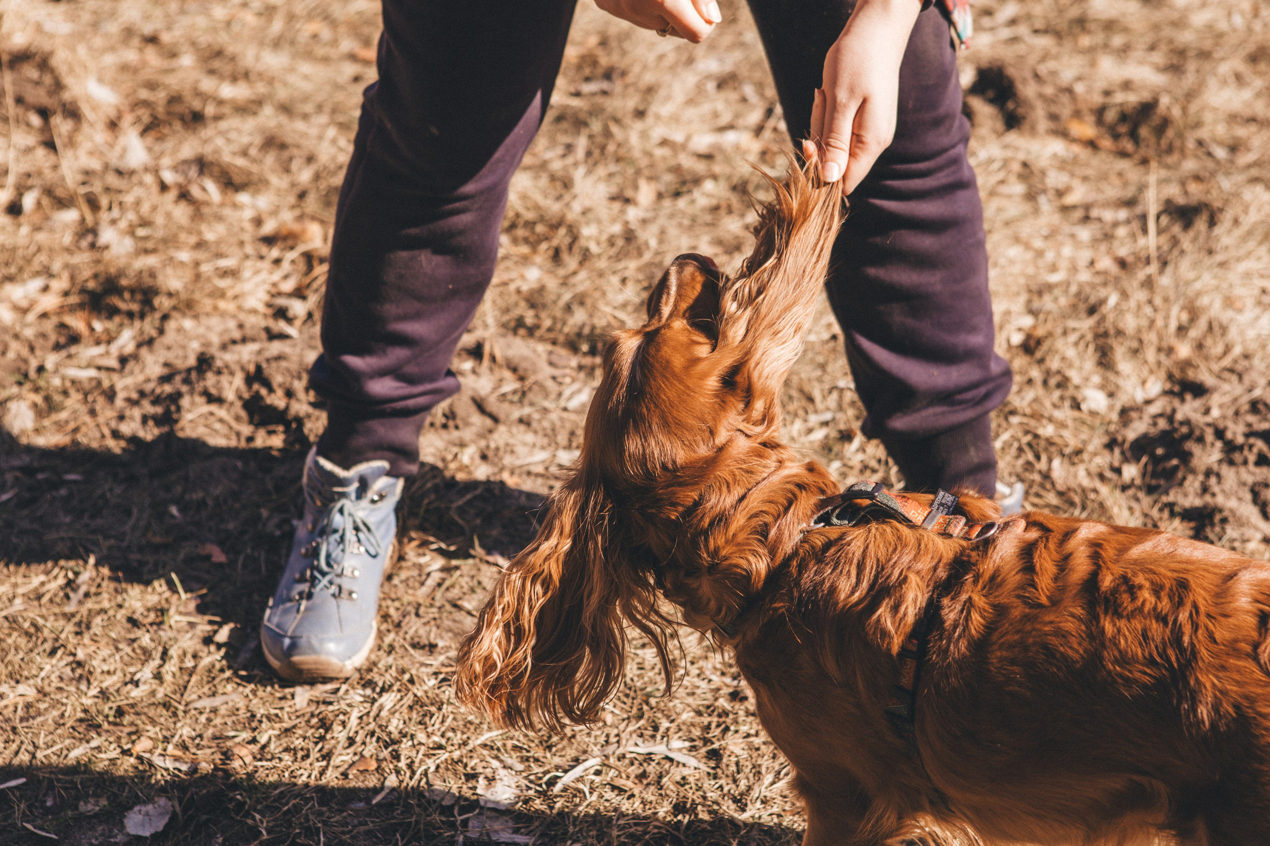Julia & Jessie. Portrait, family and pet photographer in Cyprus, Ksenia Bourdelle