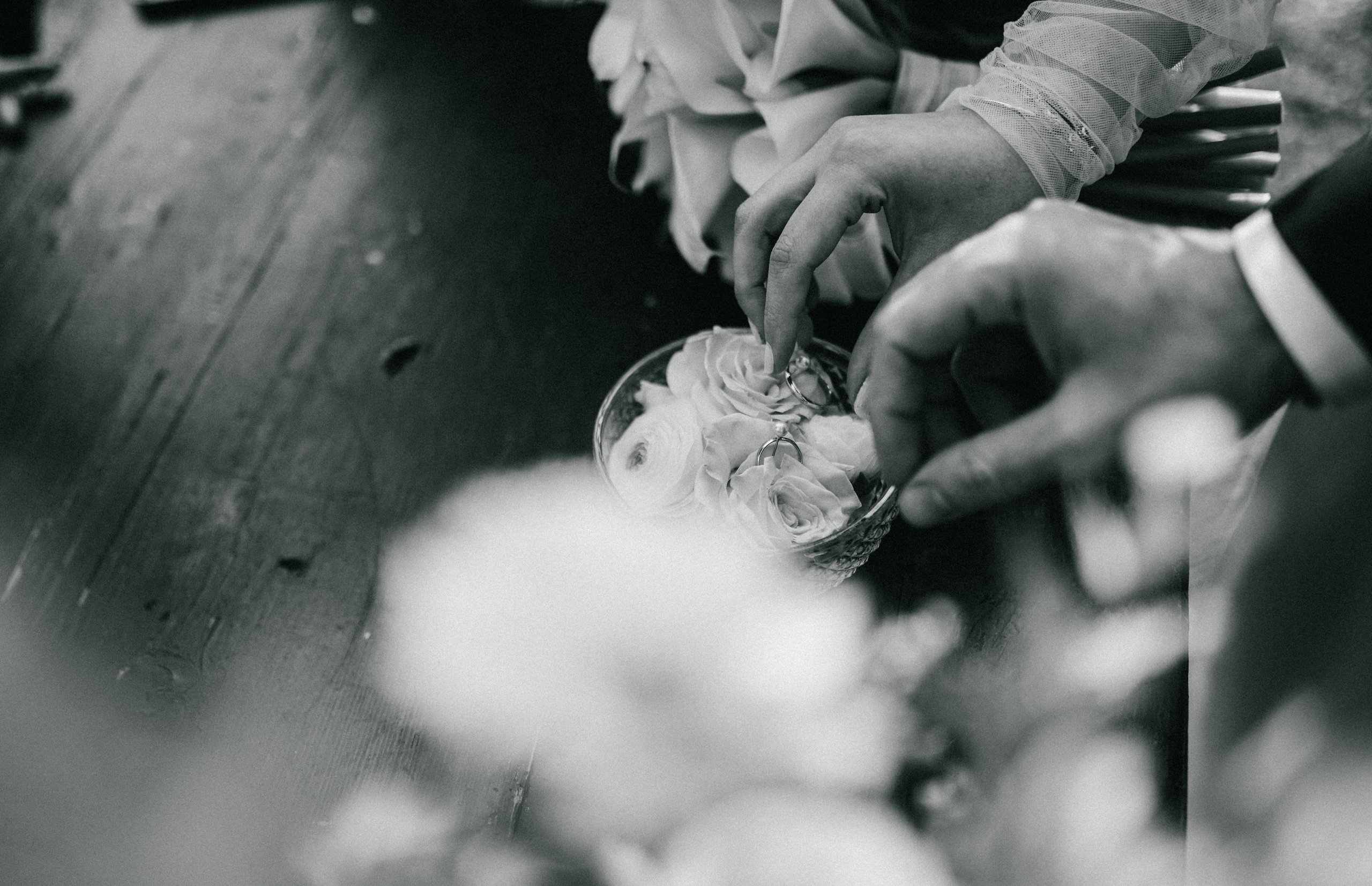 Eda&Gerardo. Фотограф Василиса Гордеева