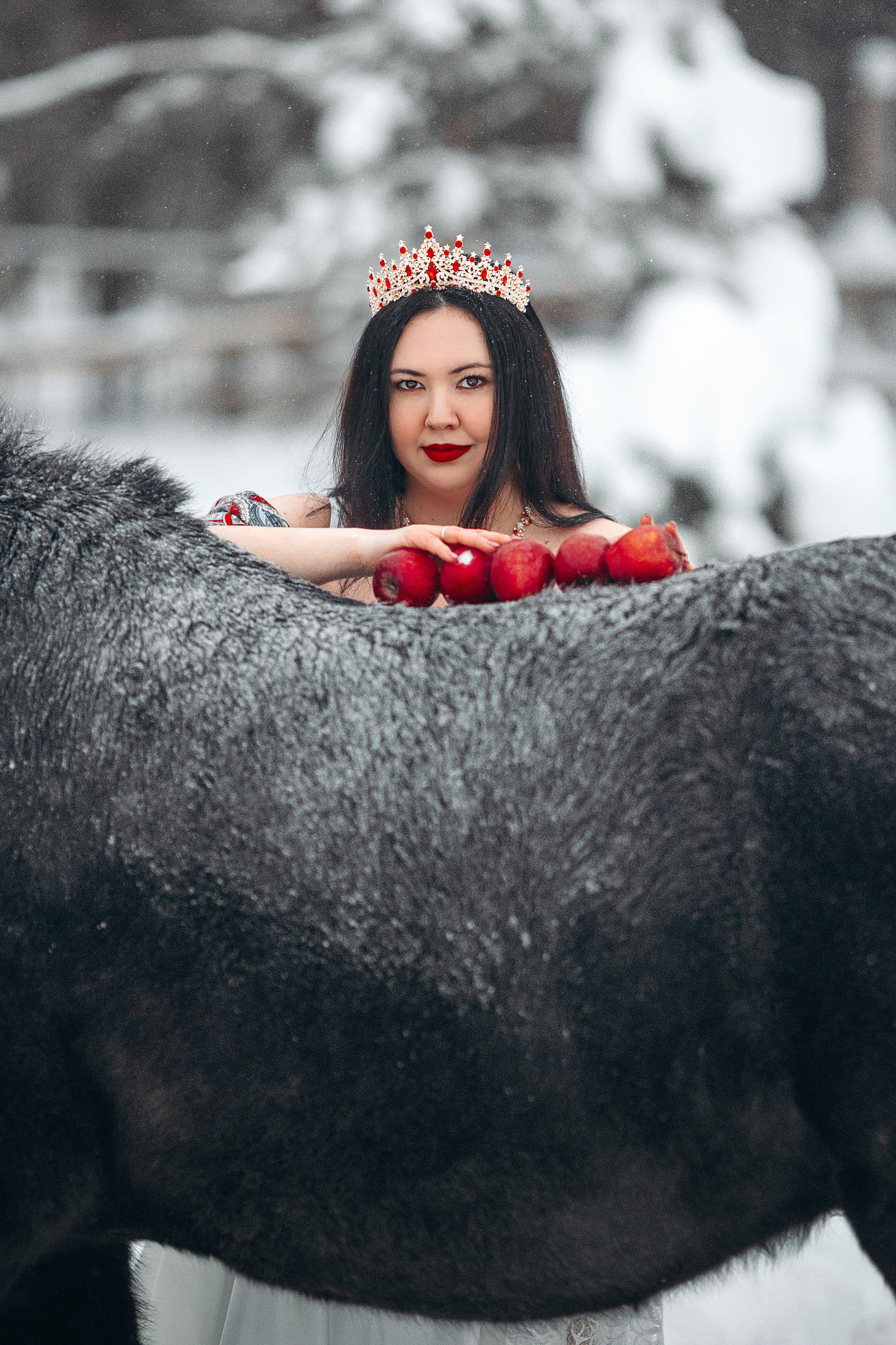 Яблоки на снегу. Анна Молчанова конный фотограф в Тюмени | фотосессии с лошадьми Тюмень