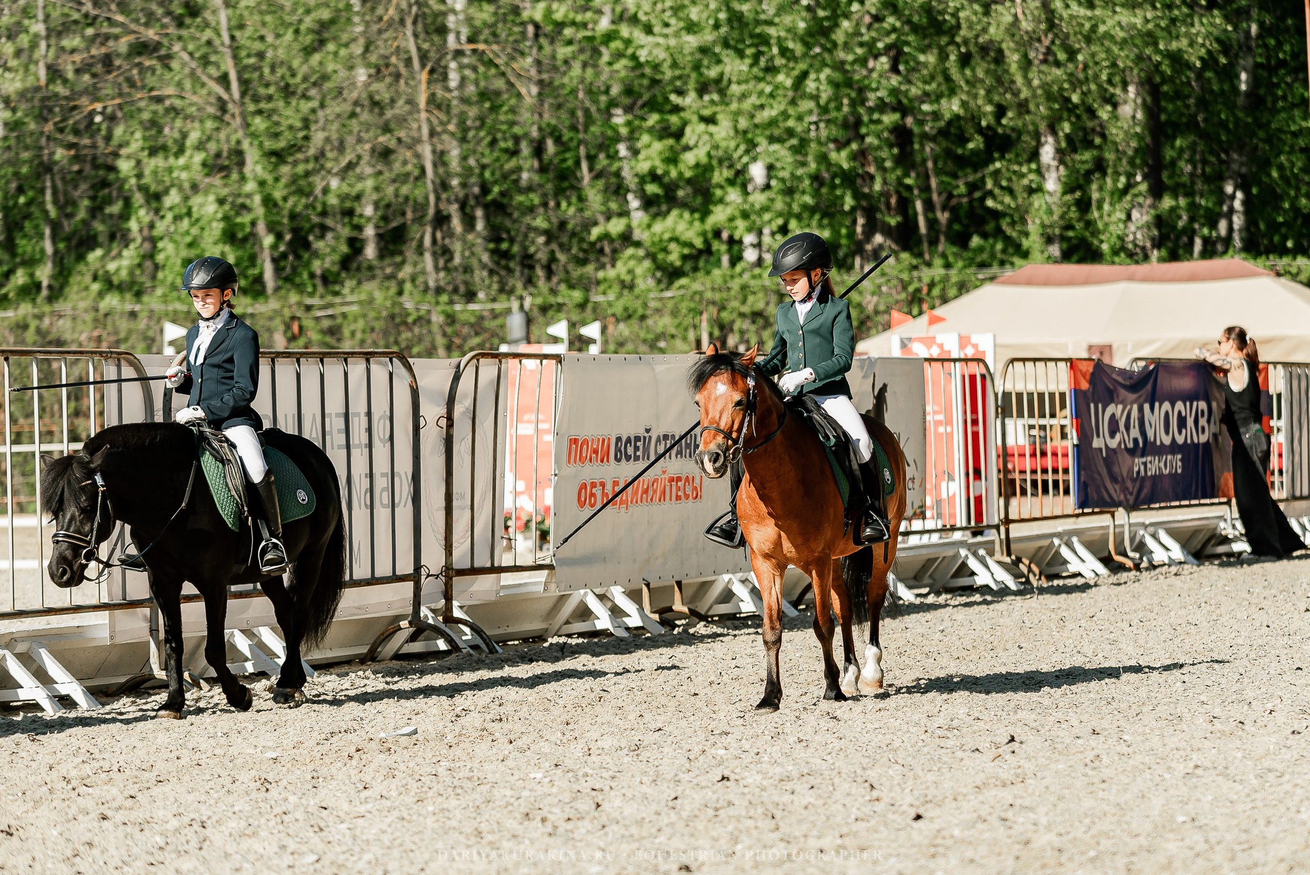 #ПОНИФОРУМ 2024. Конный фотограф Куракина Дарья • Фотосессии с лошадьми