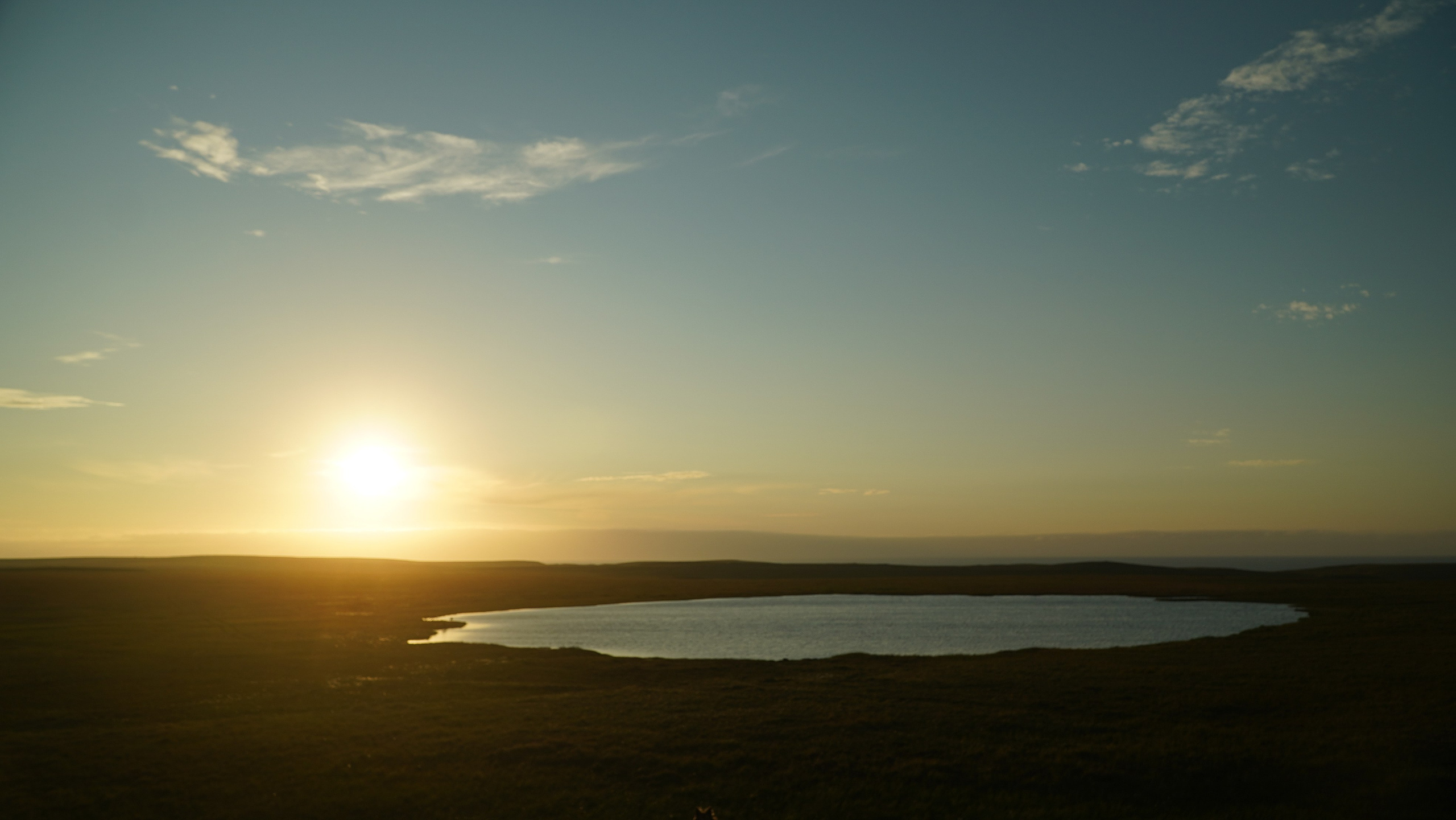 Амдерма — наука (2020 г.). Фотоальбом показывающий увлекательный мир авиации и мир медведей Андрея Иванова
