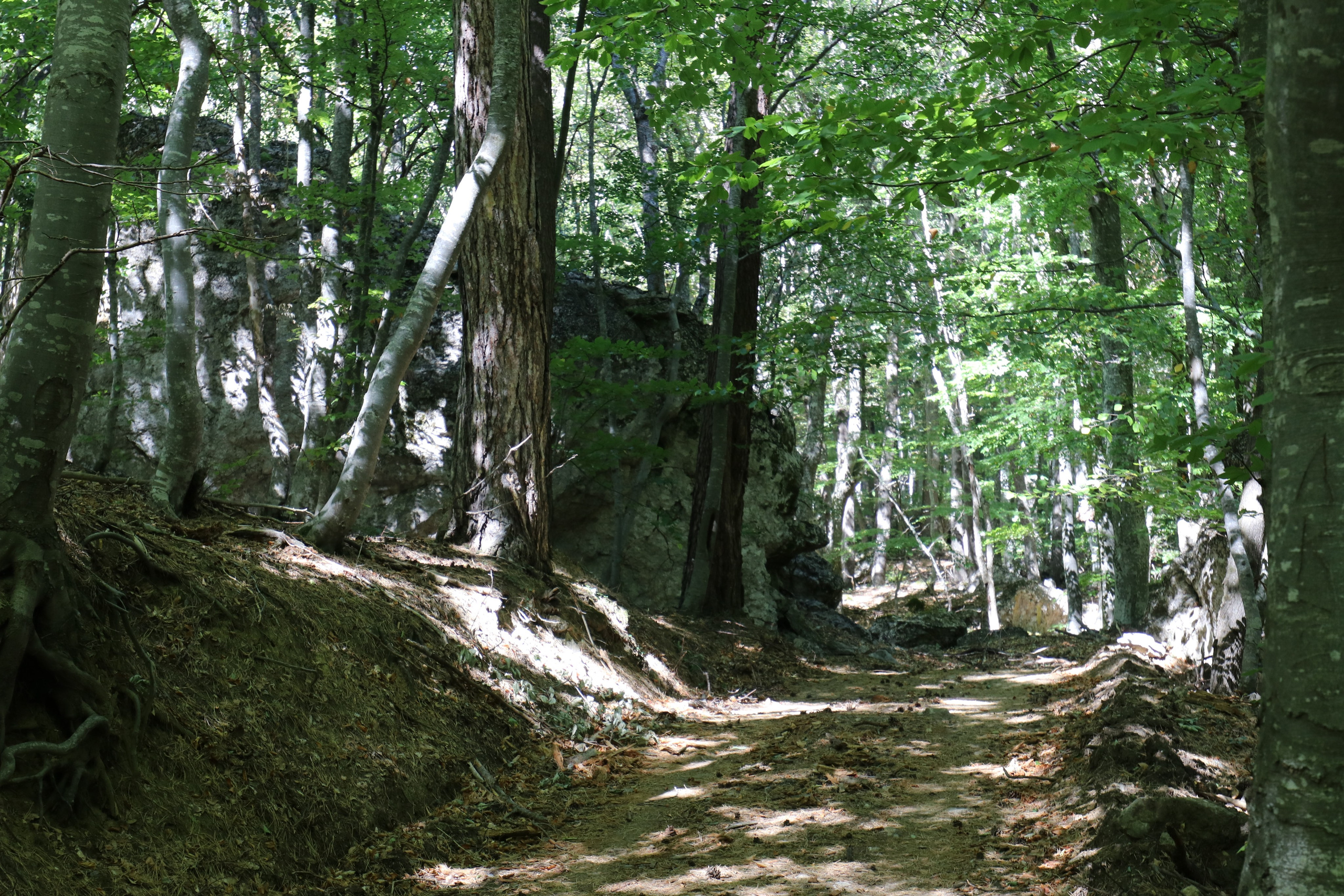 Крым. ЮБК (Фиолент, Ай-Петри, Роман-Кош). Знакомство. Октябрь 2017. Путешественник-фотограф из Санкт-Петербурга Татьяна Свистулина