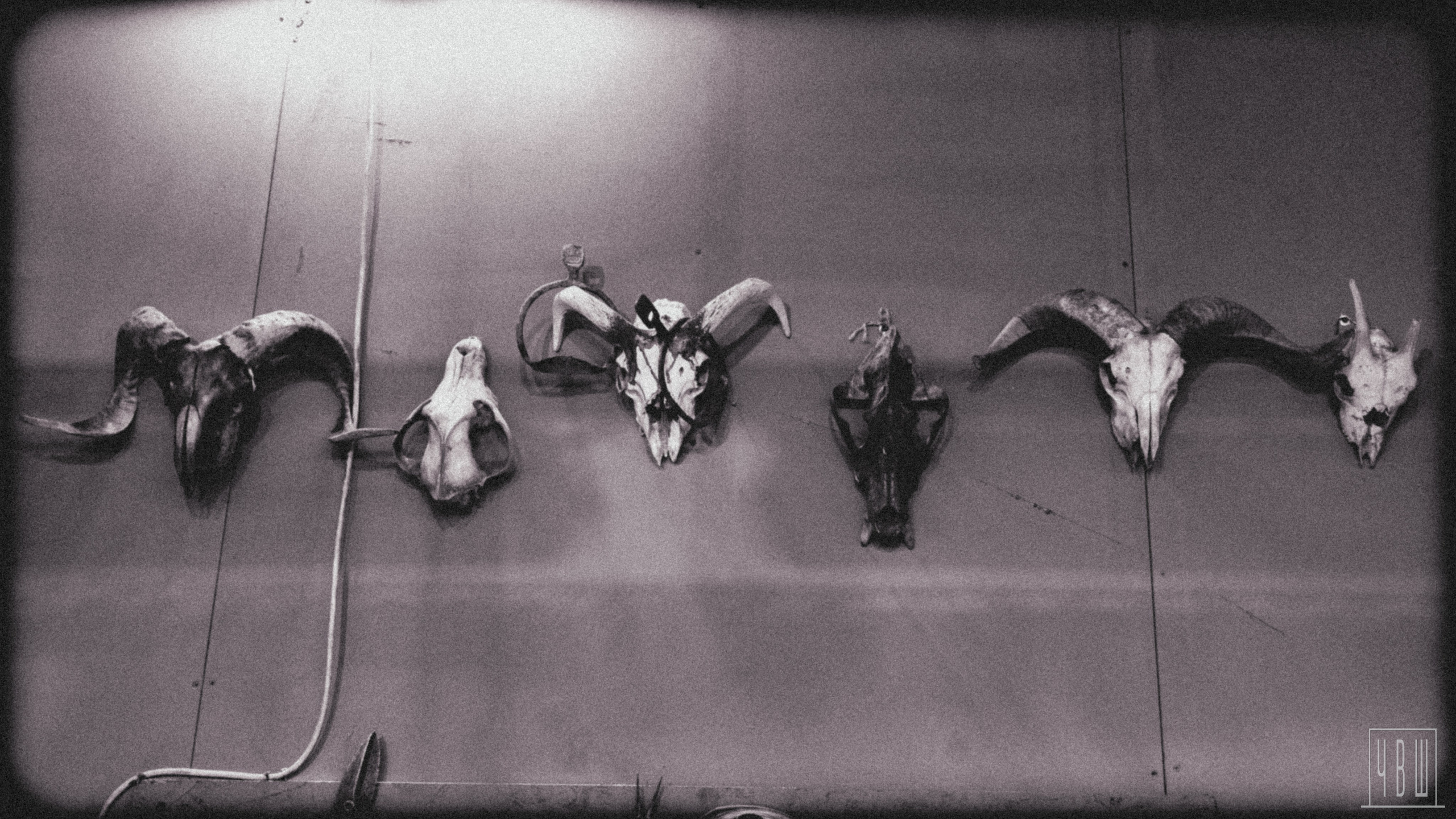 Северная Тропа, 14.07.2025, Красный Треугольник. Человек в Шляпе