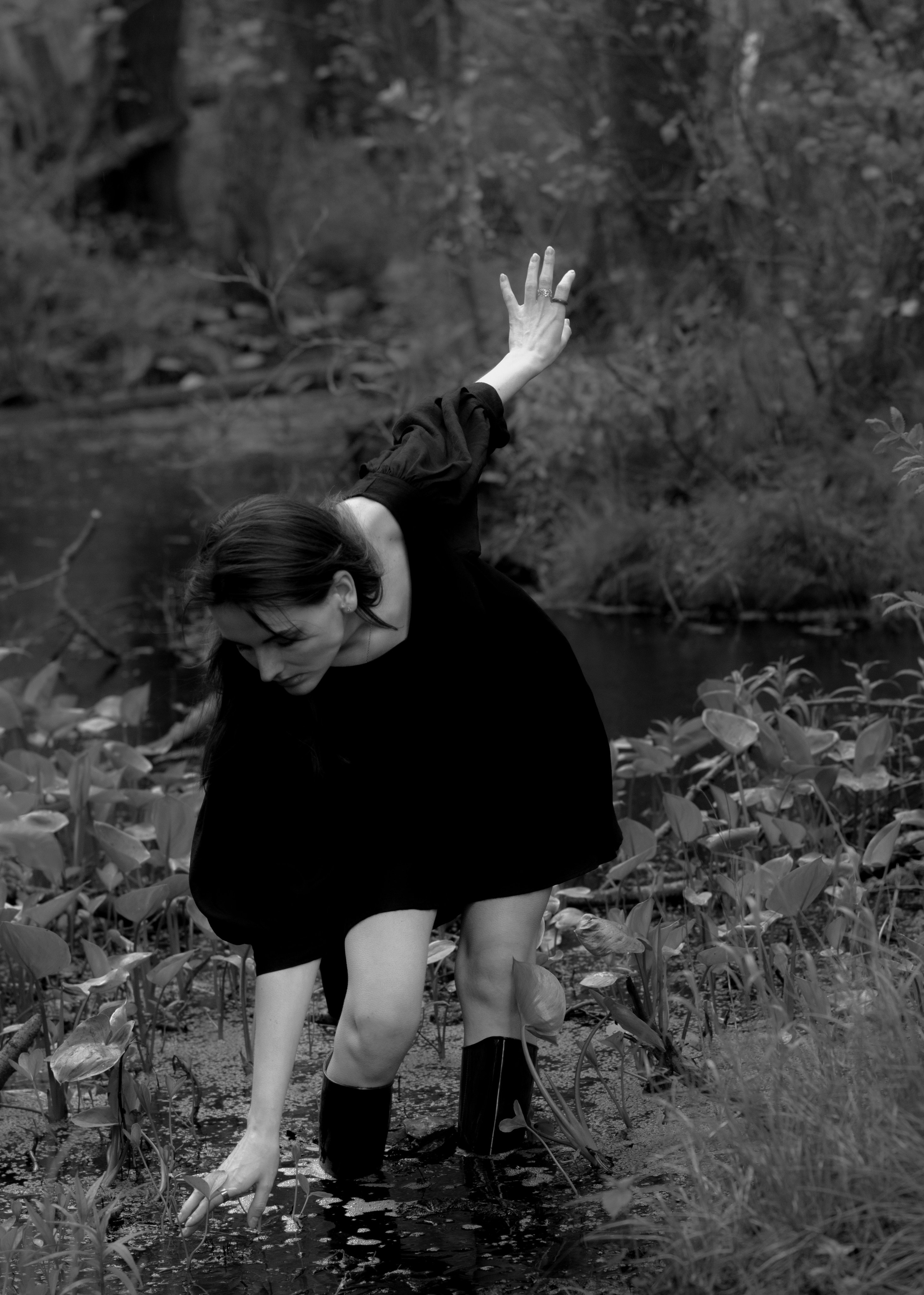 Холод | Анастасия