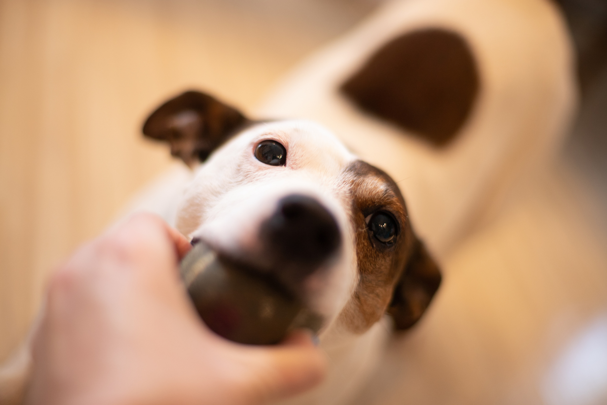Family lifestyle. Искренний фотограф Санкт-Петербург Элина Мирошникова