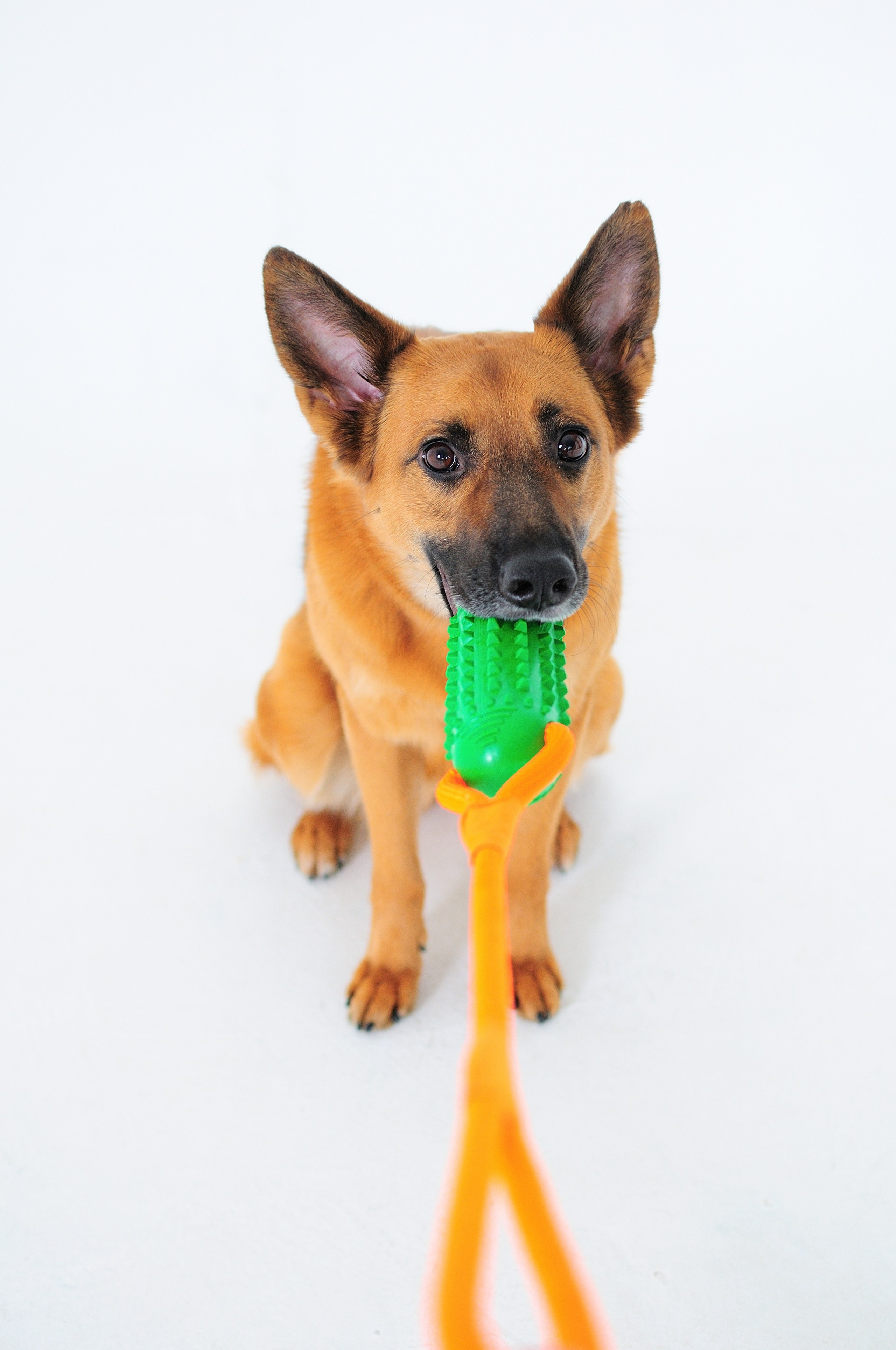 Для макетплейсов. Ваш персональный фотограф в Москве ЮША