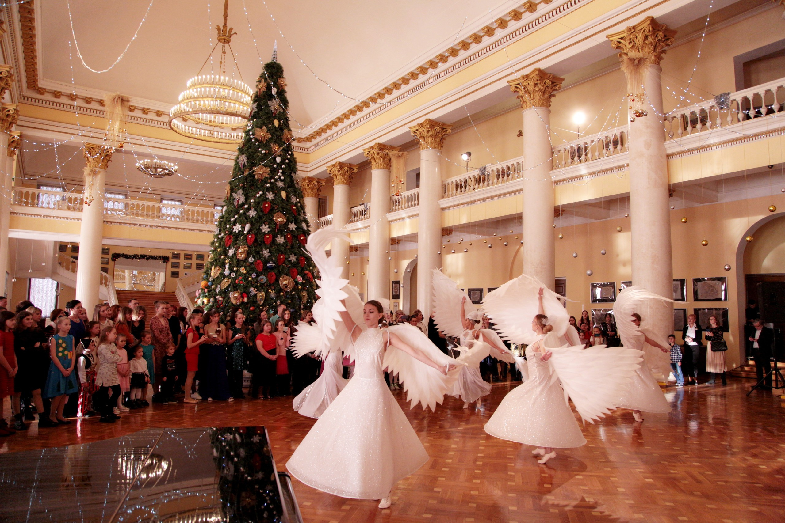 Елка, Сочи, Волшебство!!!. Фотограф в Сочи Юрий Шептаев