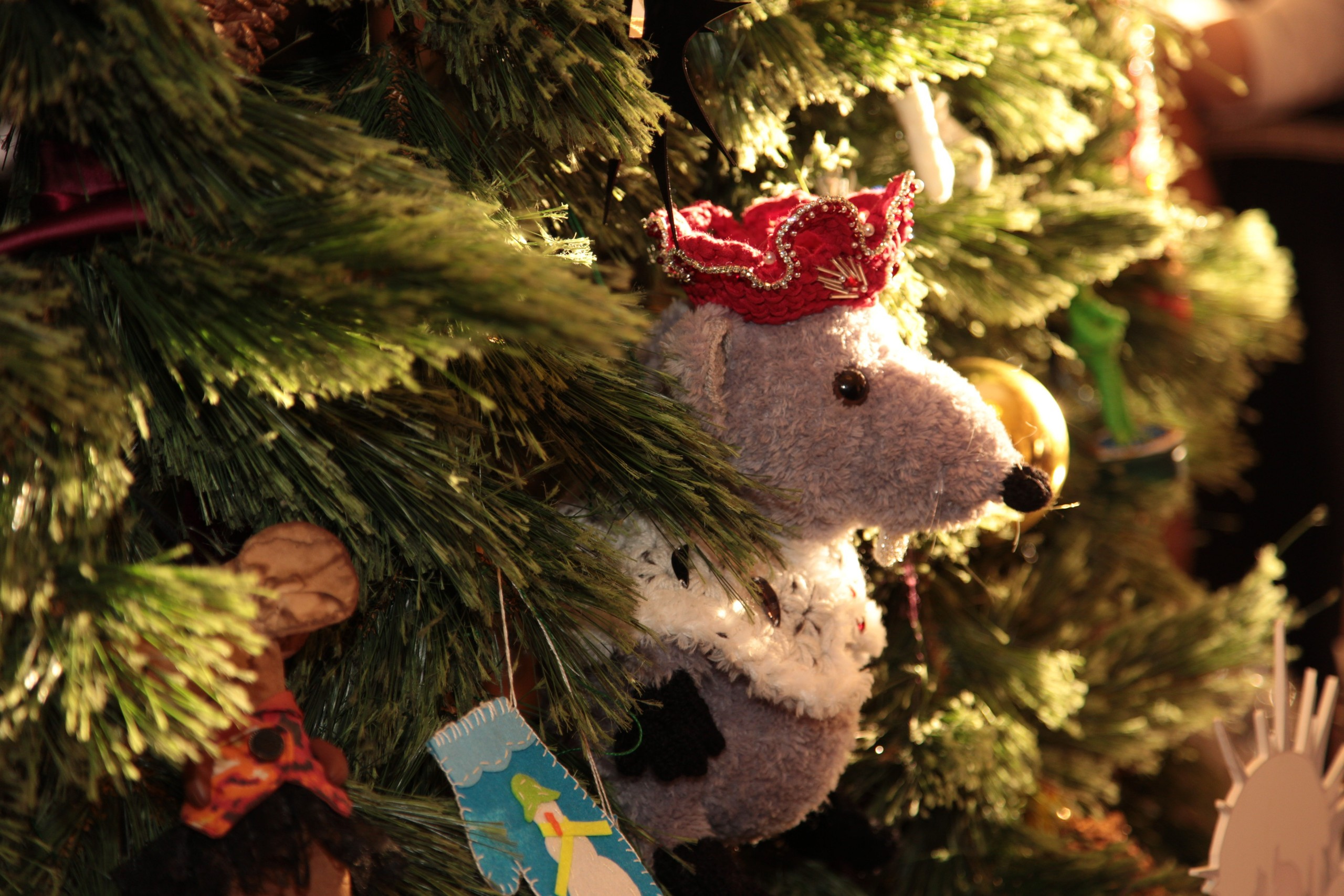 Елка, Сочи, Волшебство!!!. Фотограф в Сочи Юрий Шептаев