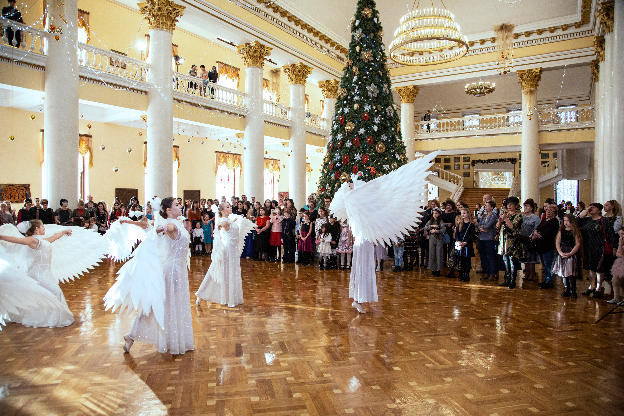 Елка, Сочи, Волшебство!!!. Фотограф в Сочи Юрий Шептаев