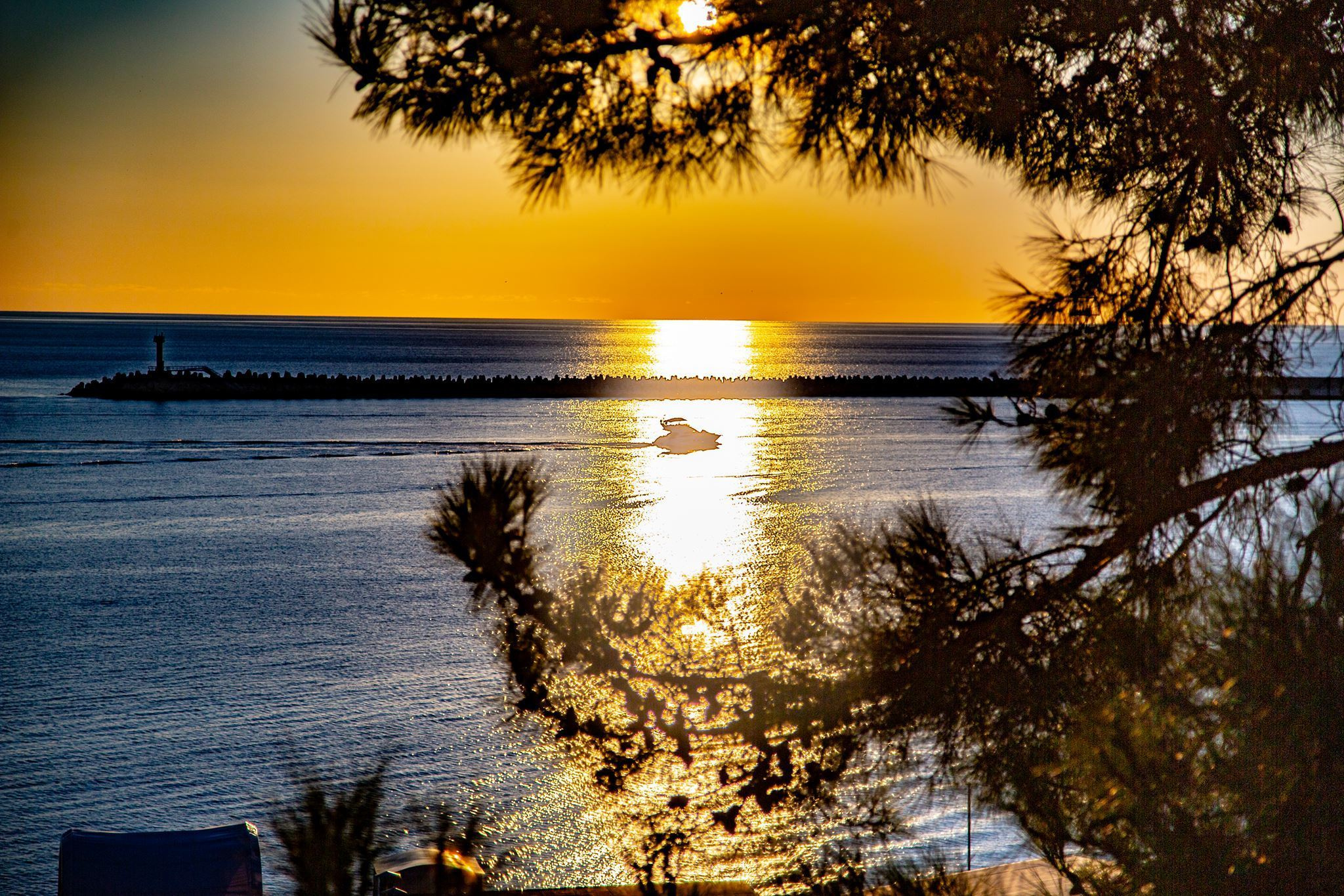 Пейзажи Сочи. Фотограф в Сочи Юрий Шептаев