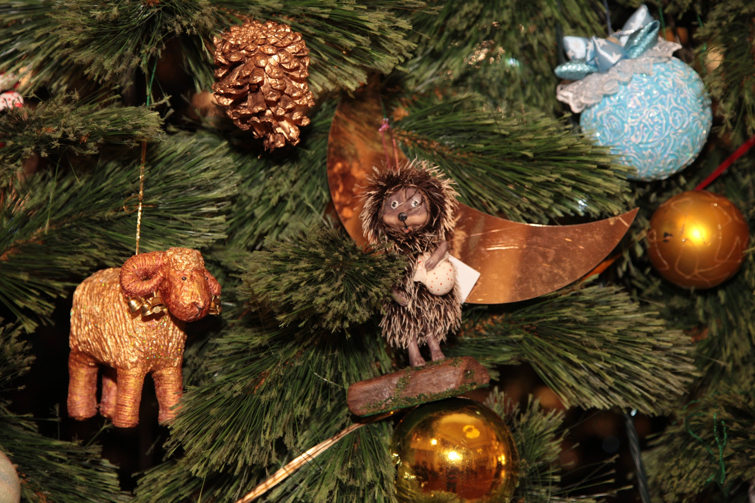 Елка, Сочи, Волшебство!!!. Фотограф в Сочи Юрий Шептаев