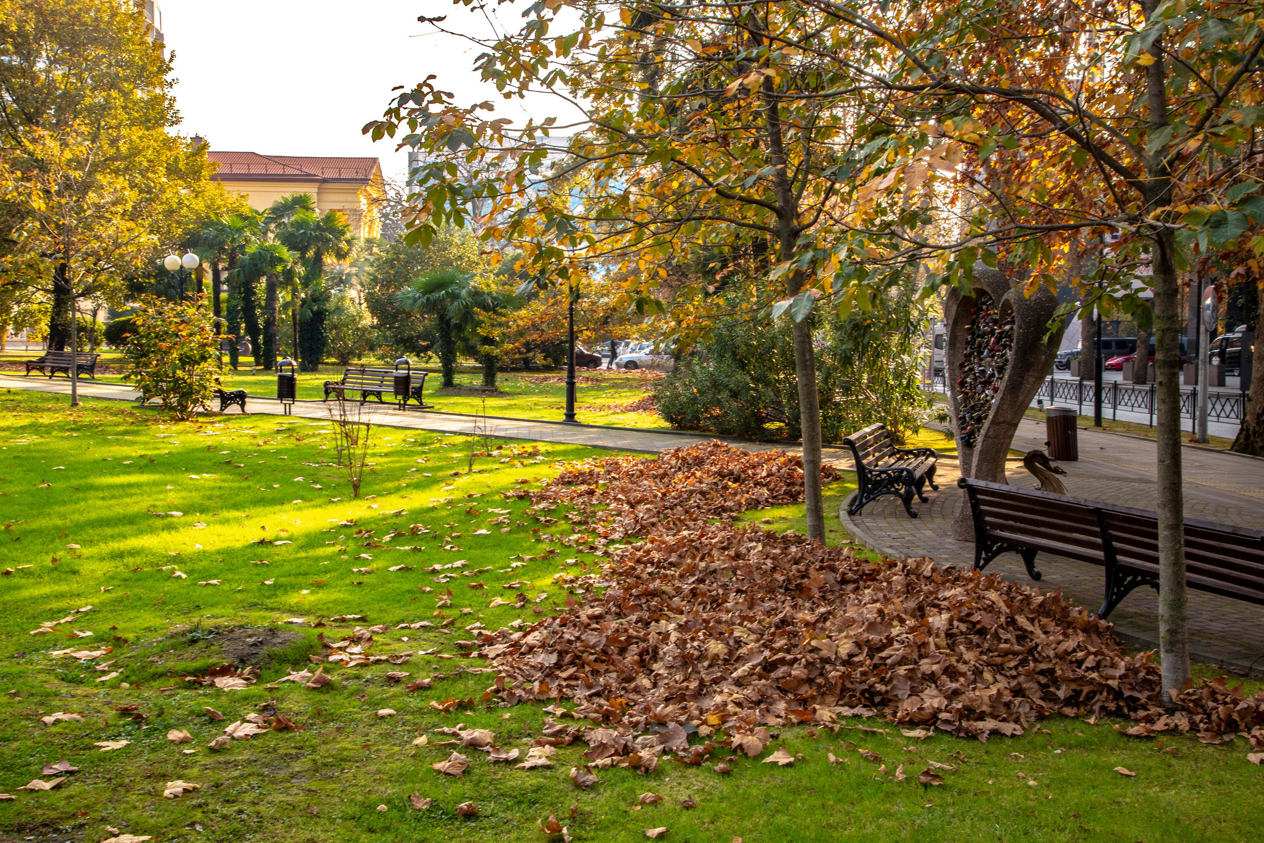 Пейзажи Сочи. Фотограф в Сочи Юрий Шептаев