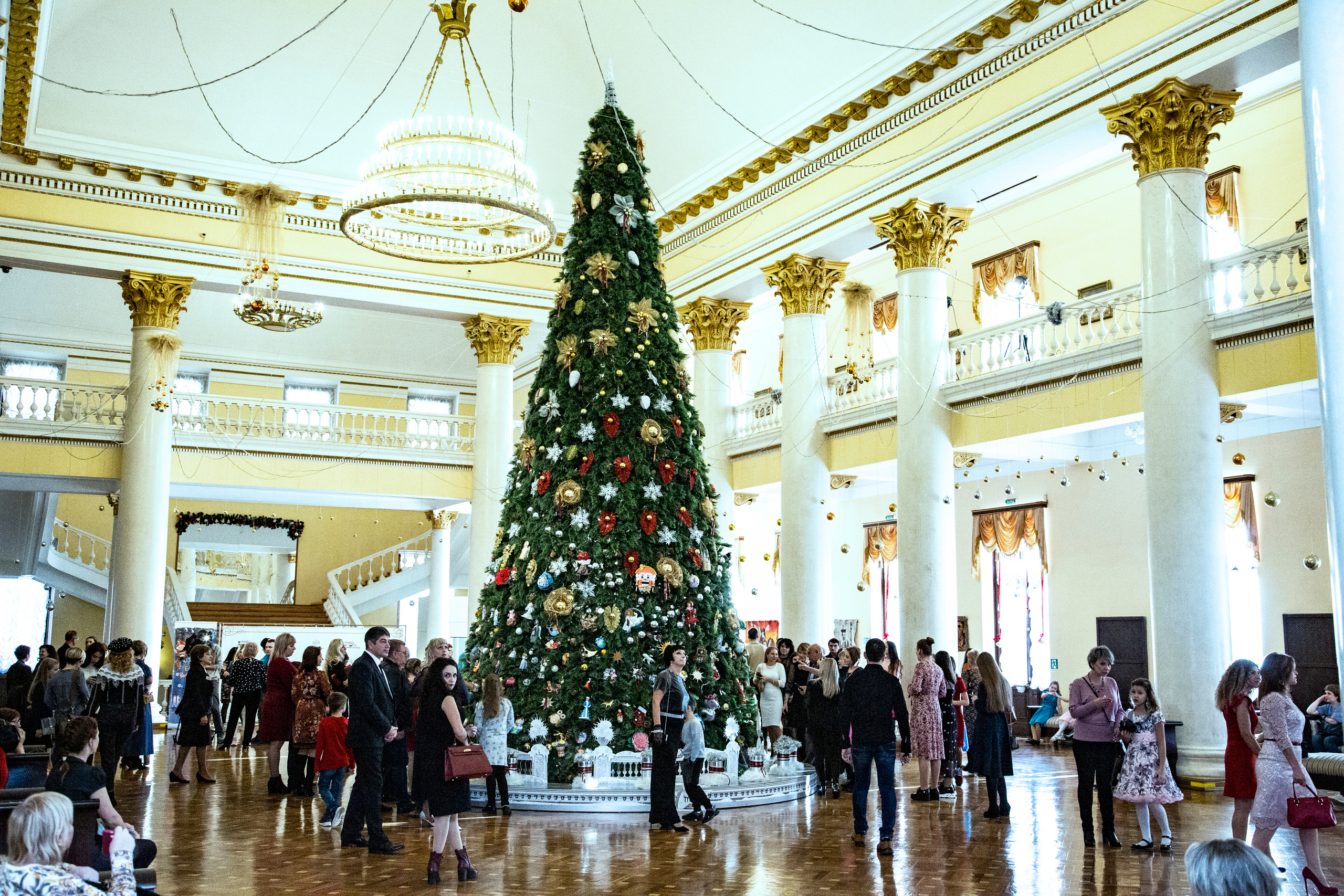 Елка, Сочи, Волшебство!!!. Фотограф в Сочи Юрий Шептаев