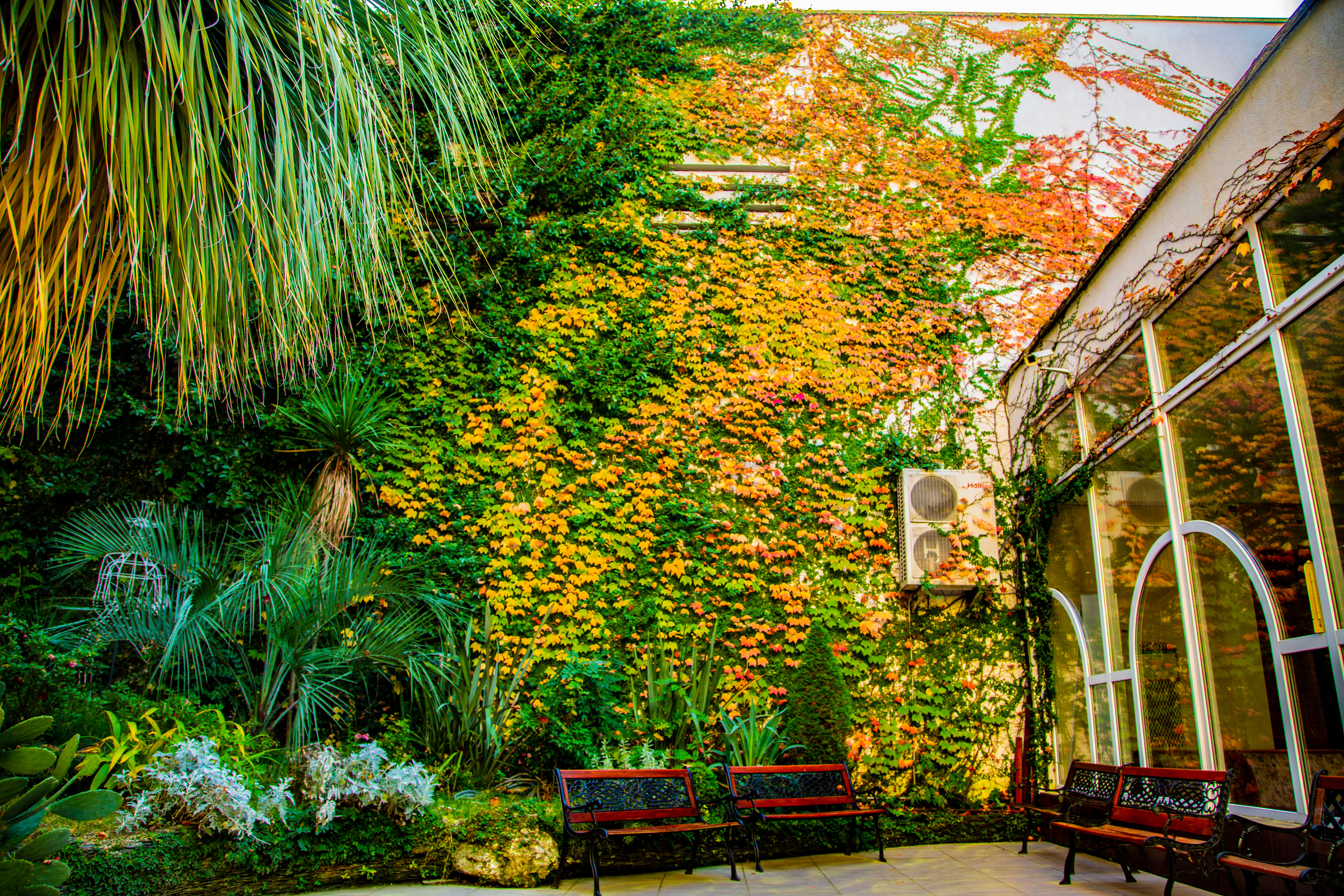 Пейзажи Сочи. Фотограф в Сочи Юрий Шептаев