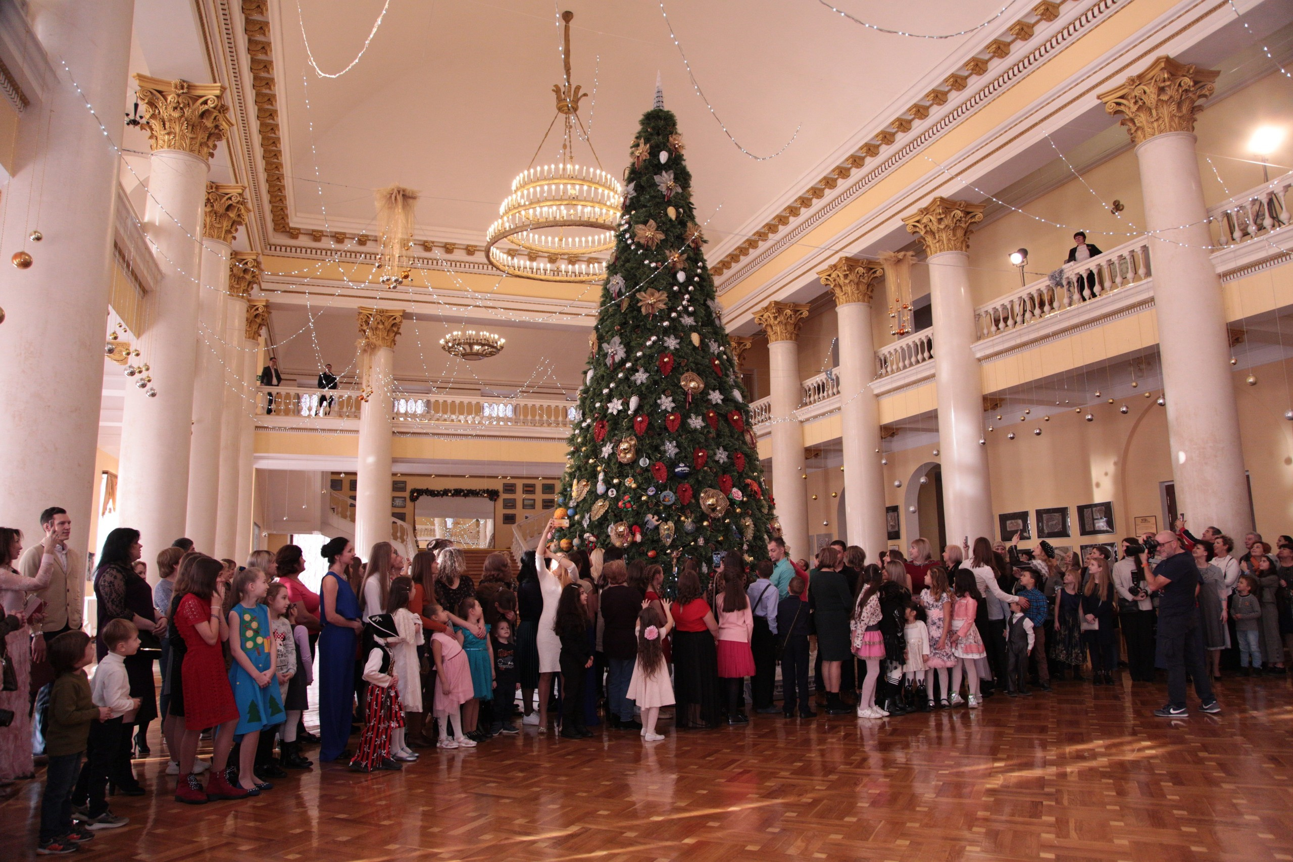 Елка, Сочи, Волшебство!!!. Фотограф в Сочи Юрий Шептаев