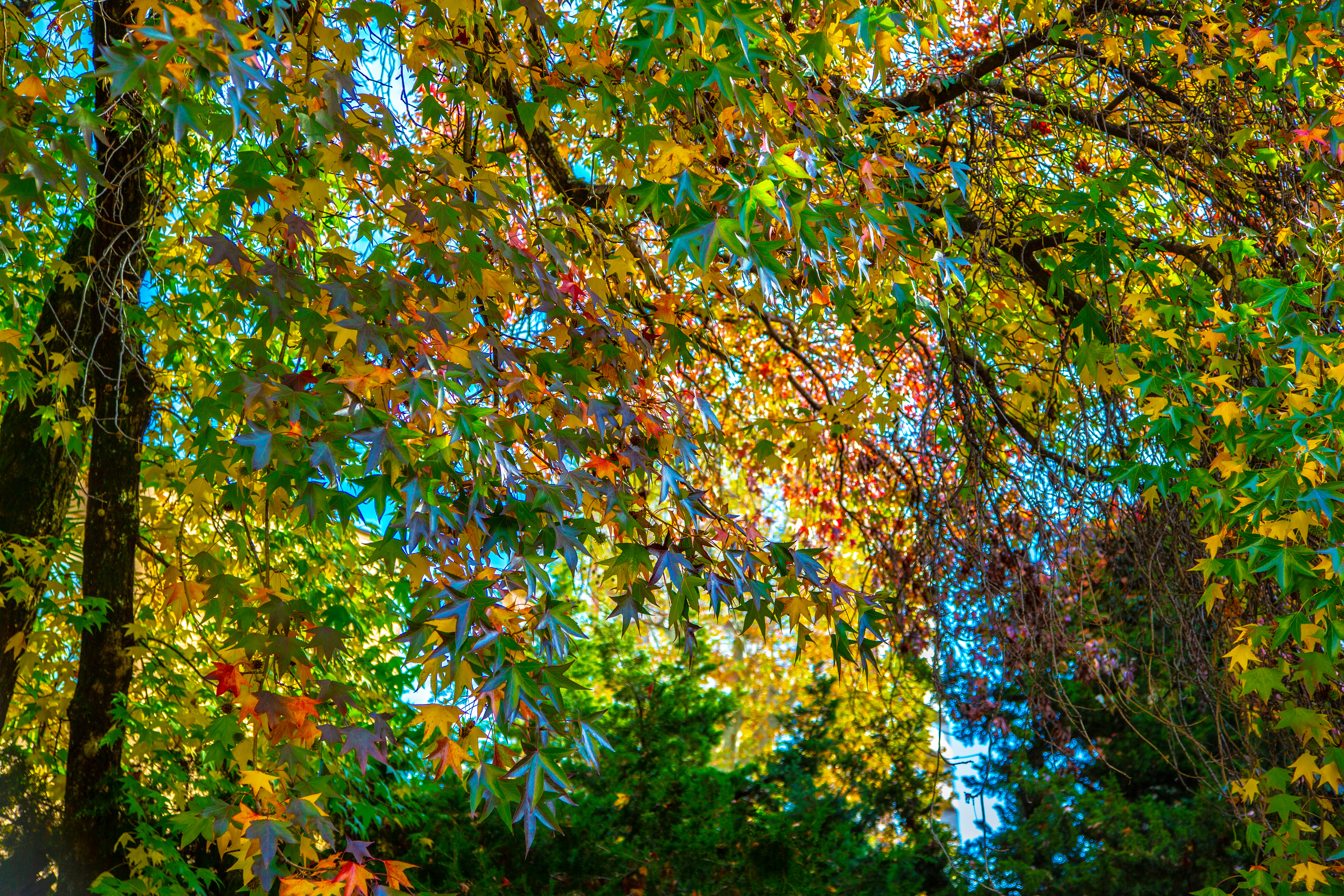 Пейзажи Сочи. Фотограф в Сочи Юрий Шептаев