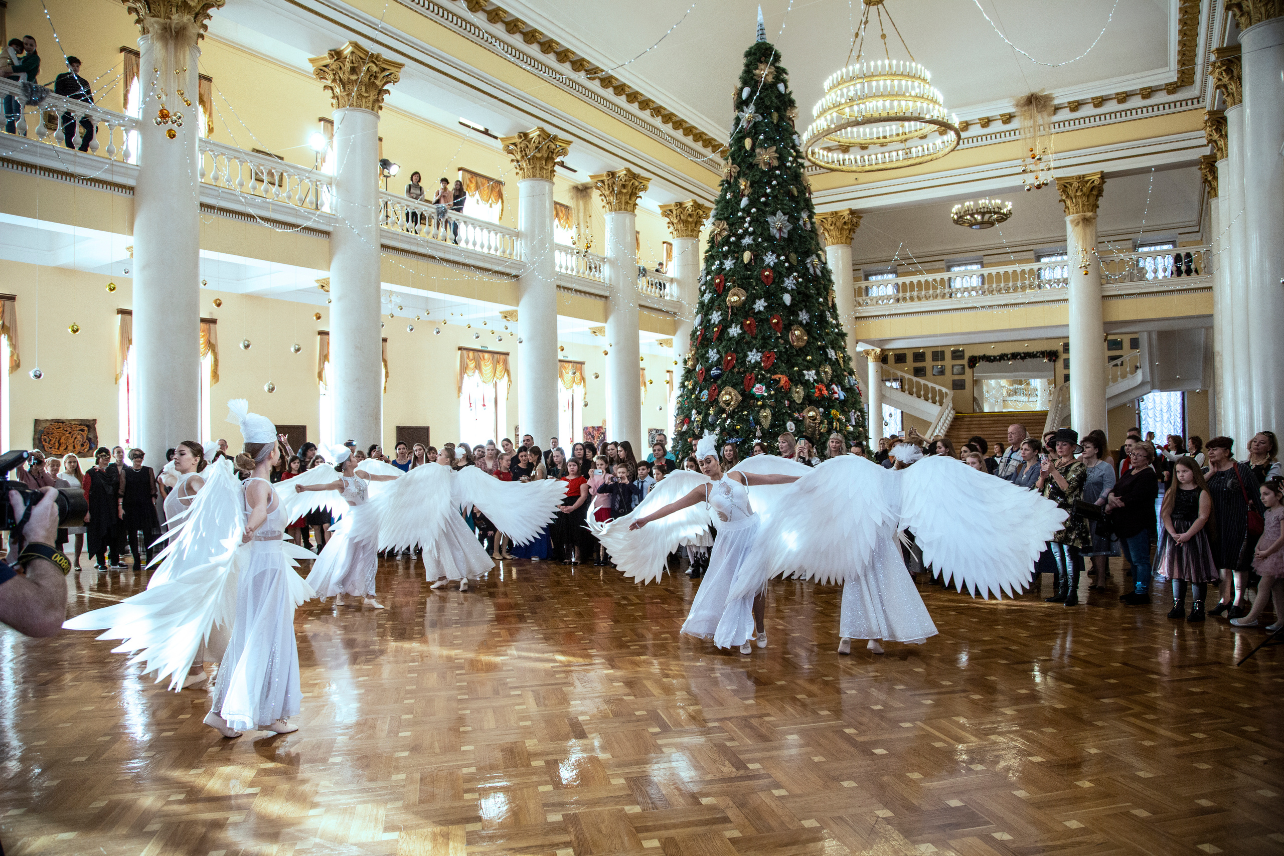 Елка, Сочи, Волшебство!!!. Фотограф в Сочи Юрий Шептаев