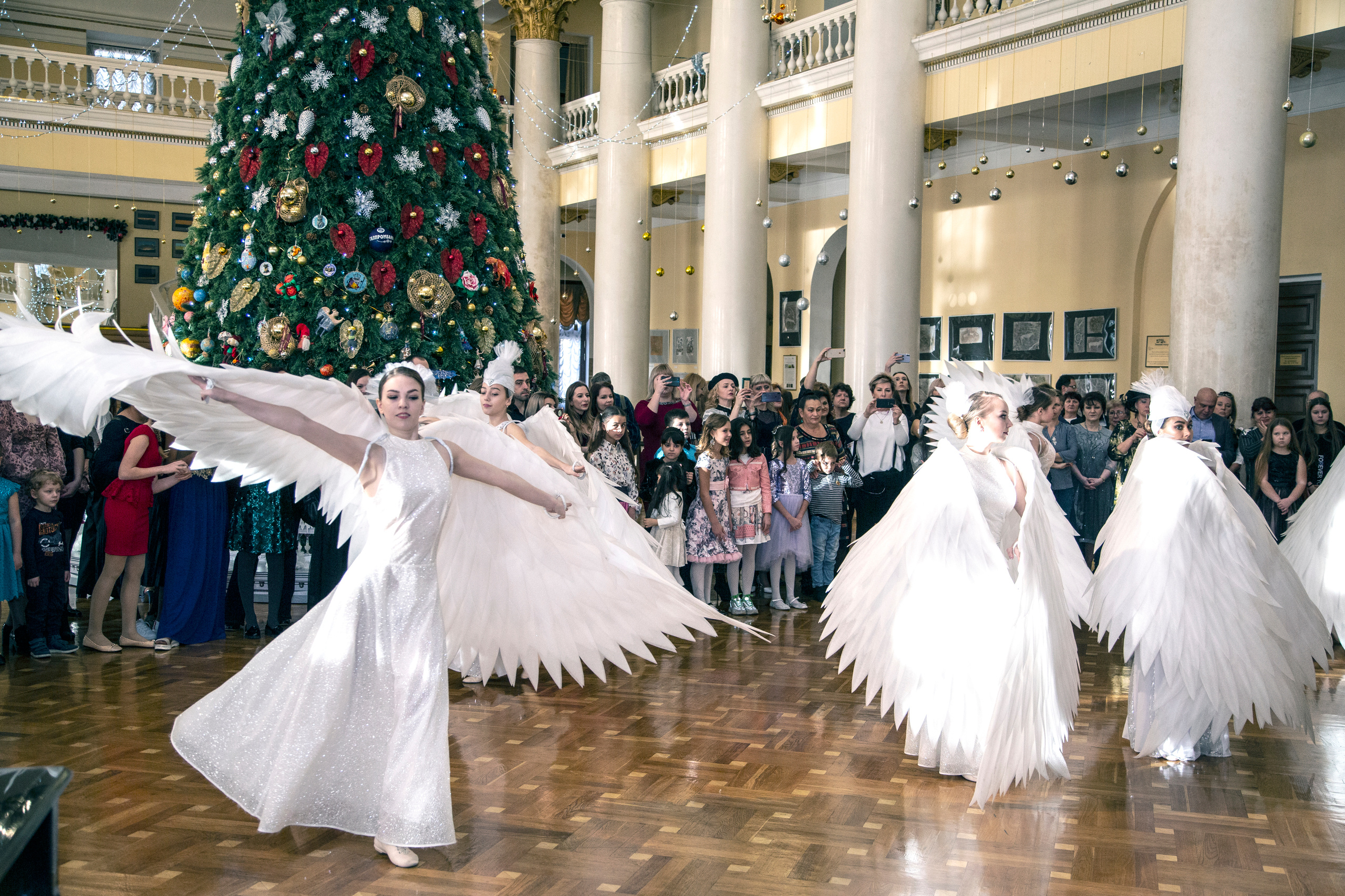 Елка, Сочи, Волшебство!!!. Фотограф в Сочи Юрий Шептаев