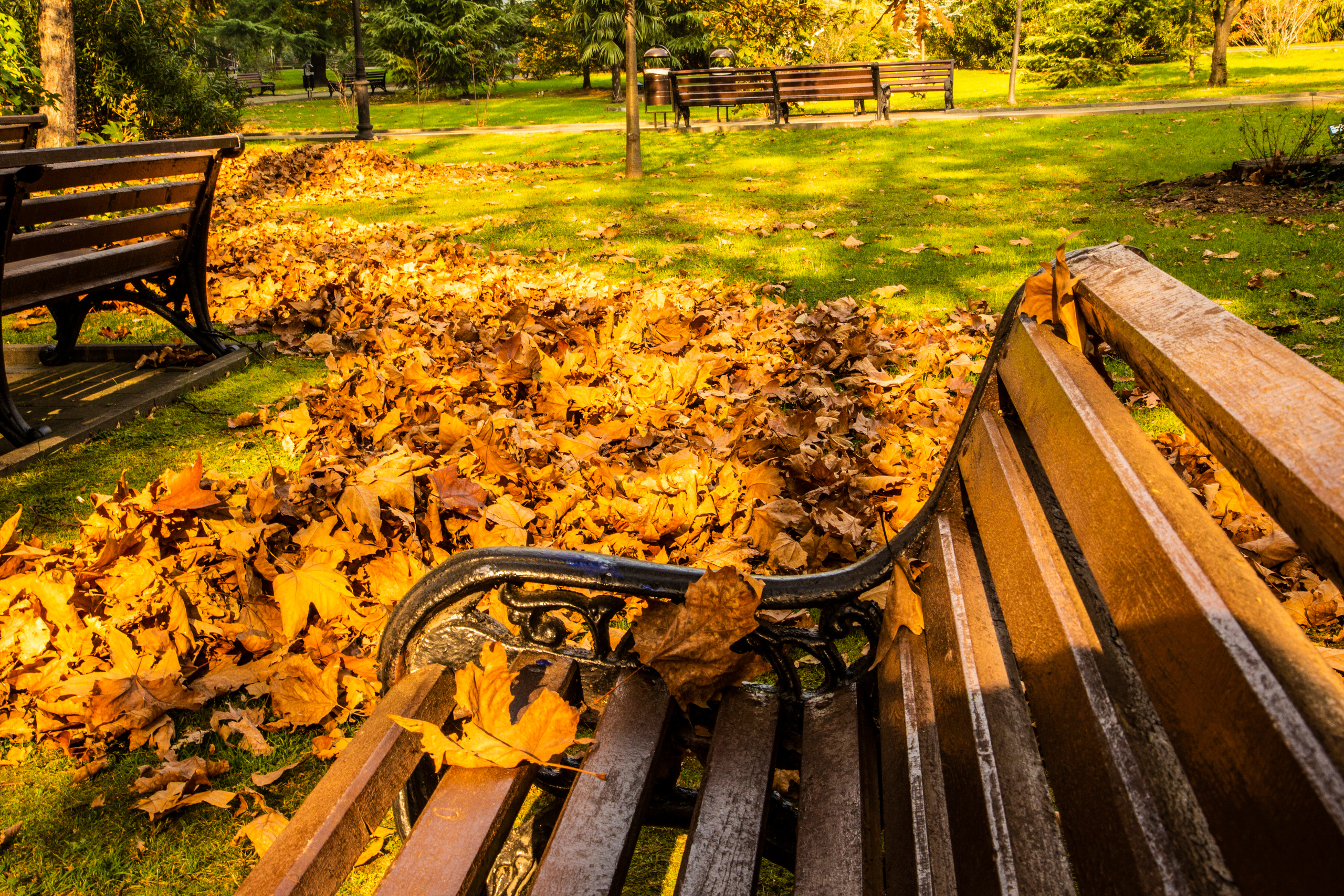 Пейзажи Сочи. Фотограф в Сочи Юрий Шептаев