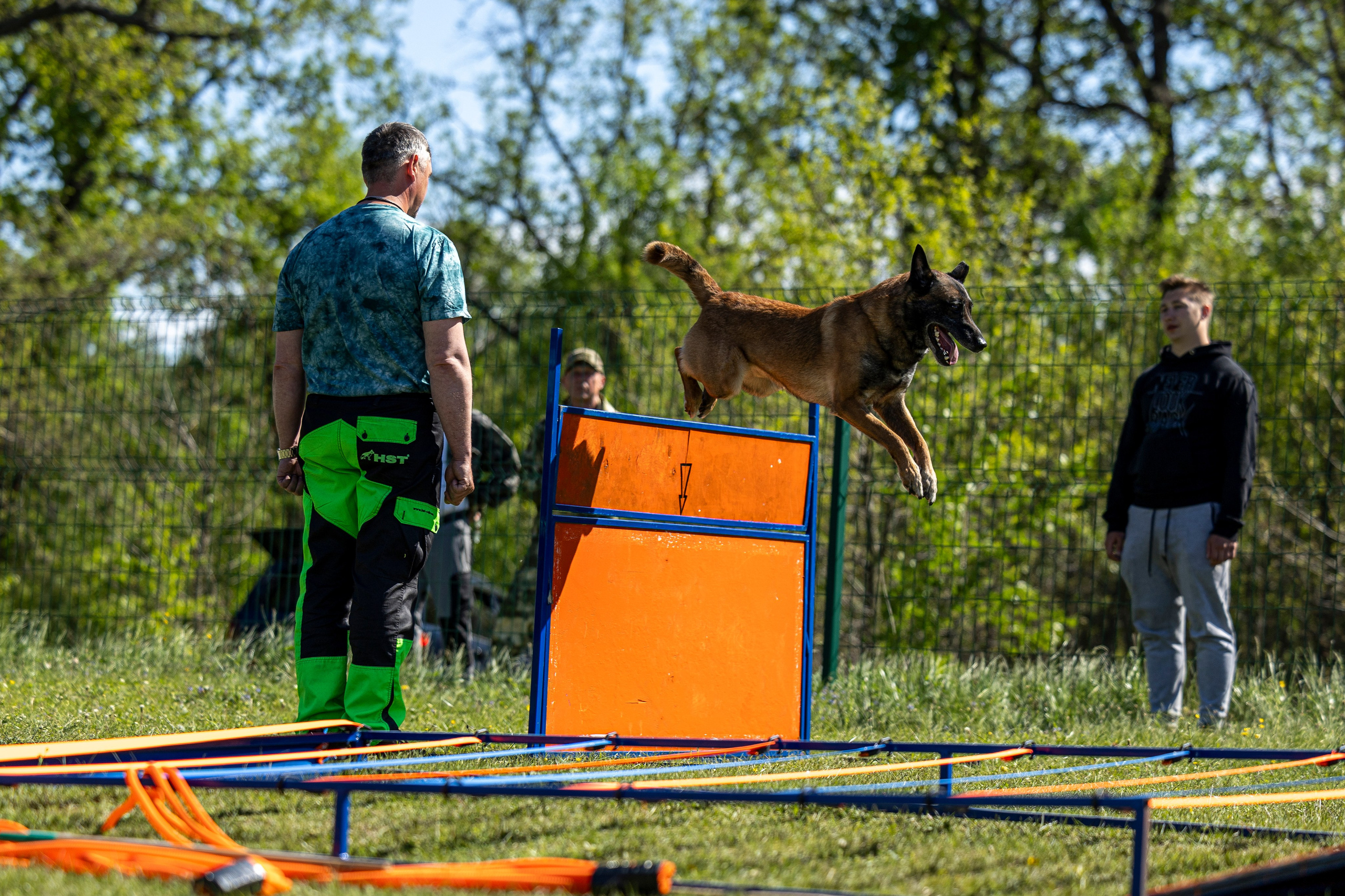 Испытания по мондьорингу в Нижнем Новгороде. Фотограф-анималист Анна Маринич
