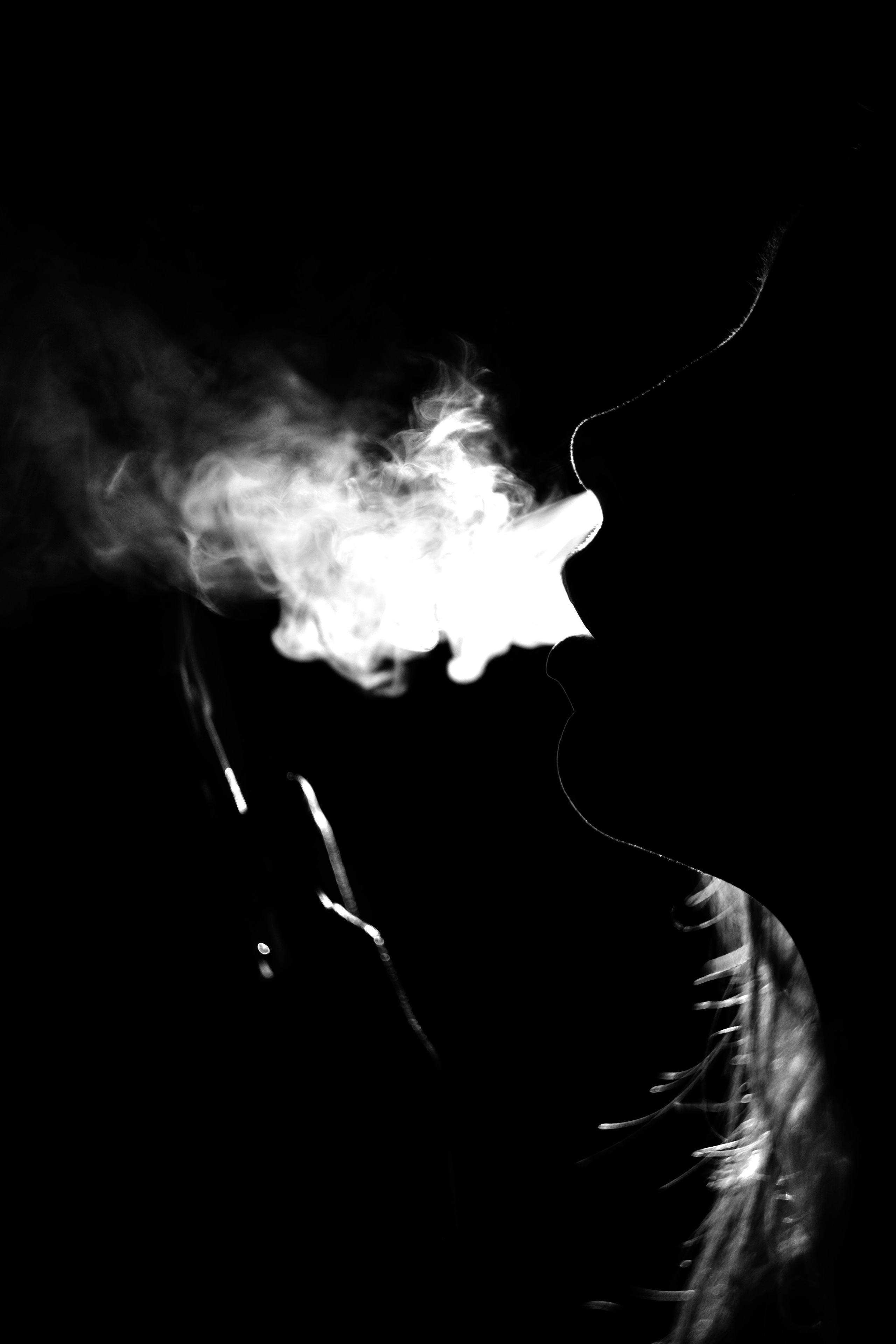 Анастасия. Дмитрий Пропадалин, Нейрофотография