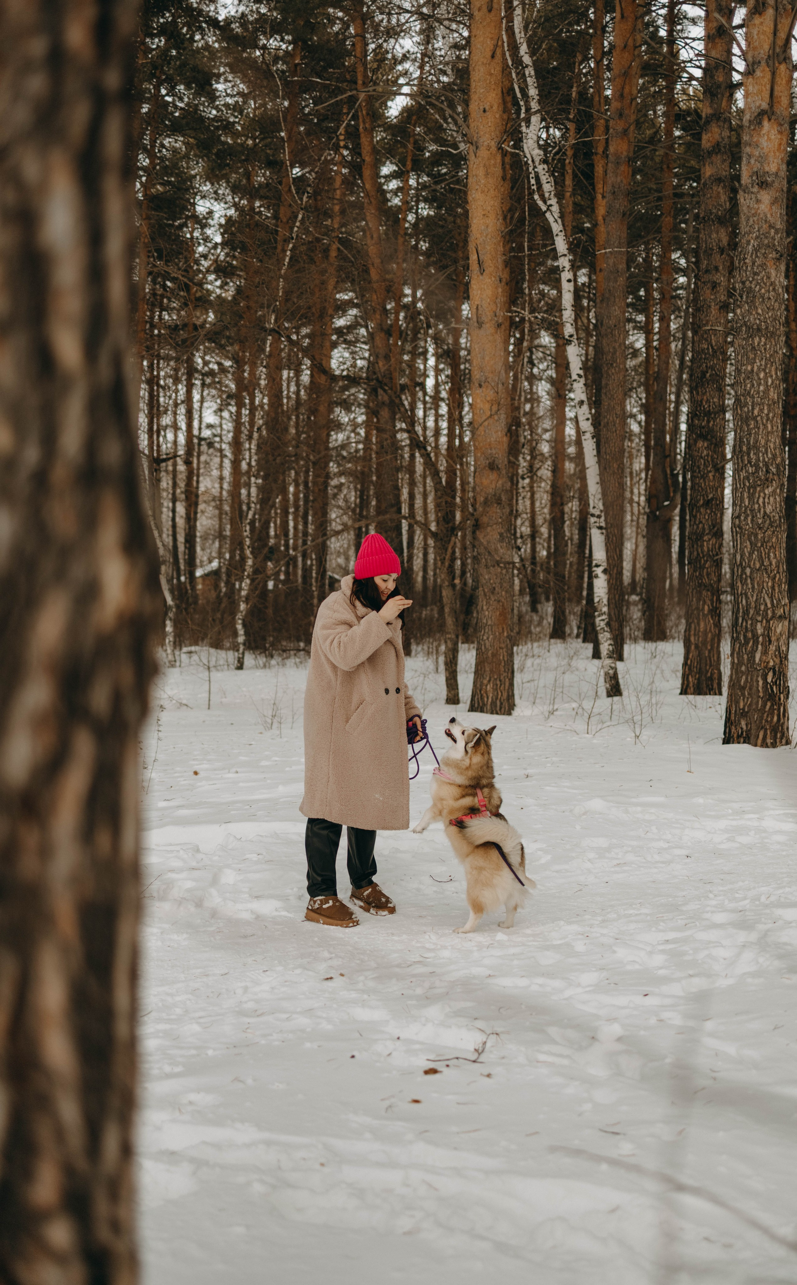Варвара и Шелби. Фотограф-анималист в Екатеринбурге | Кристина