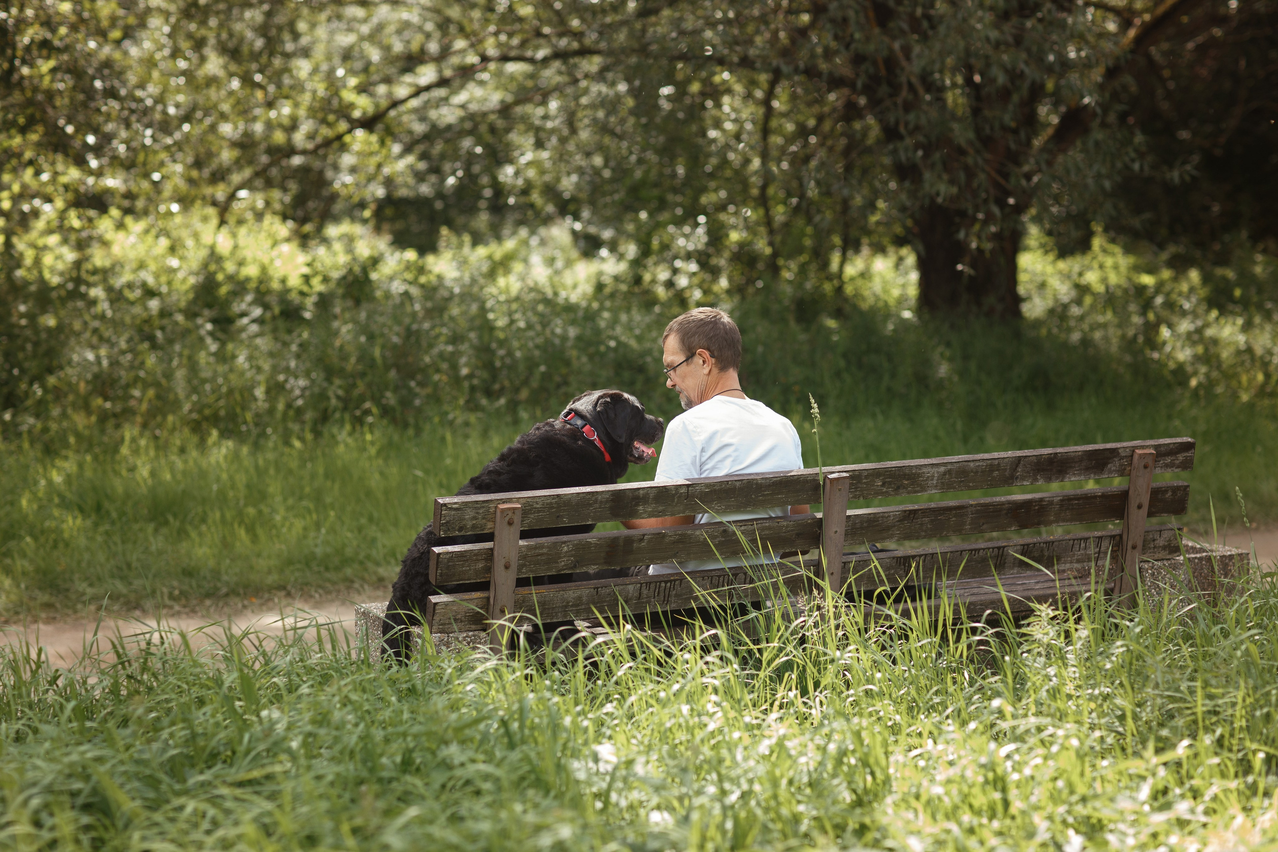 Александр и Мона. Фотограф — Анималист Наталья Тямушева