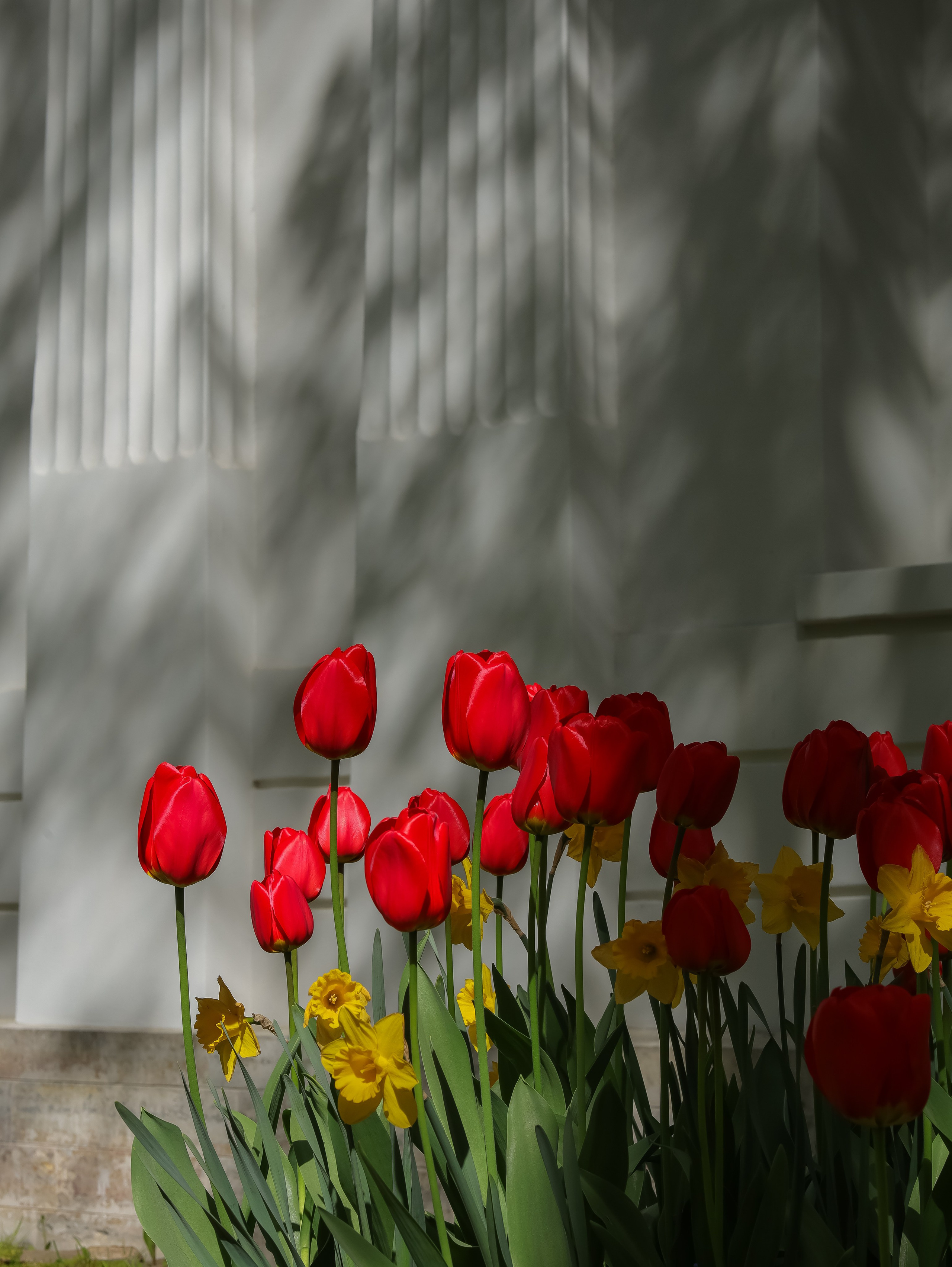 Природа &. Фотохудожник в СПб