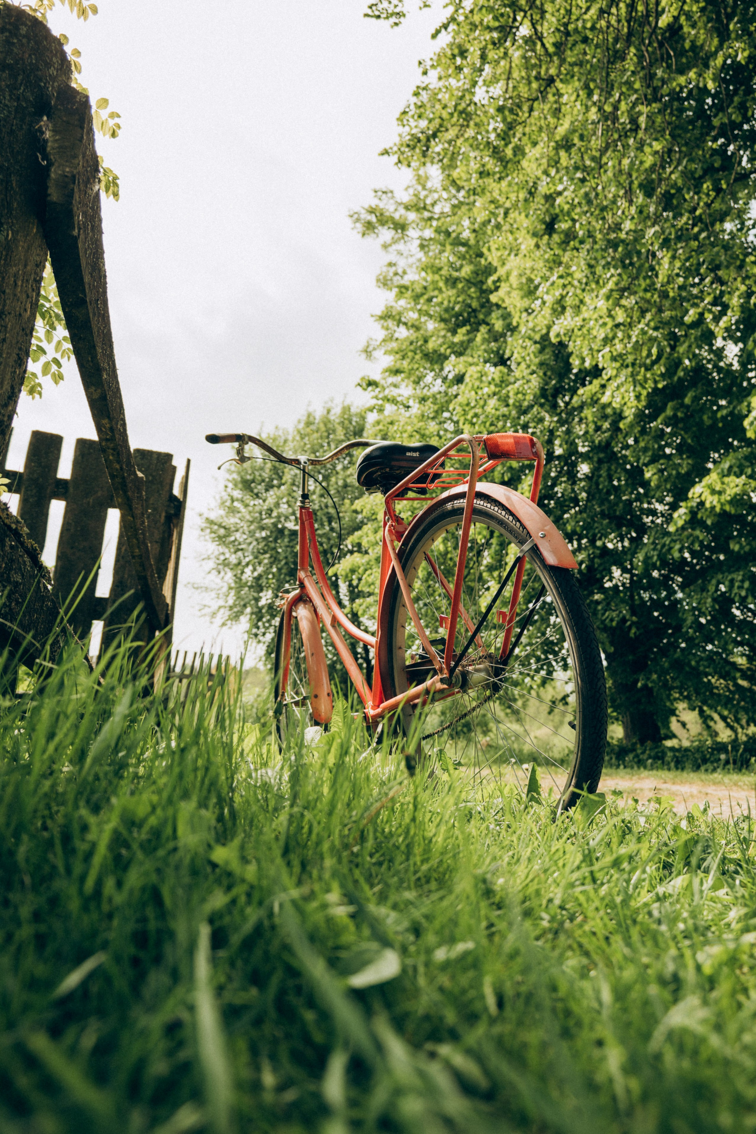 Женя, Аня и Машуня в Лугах