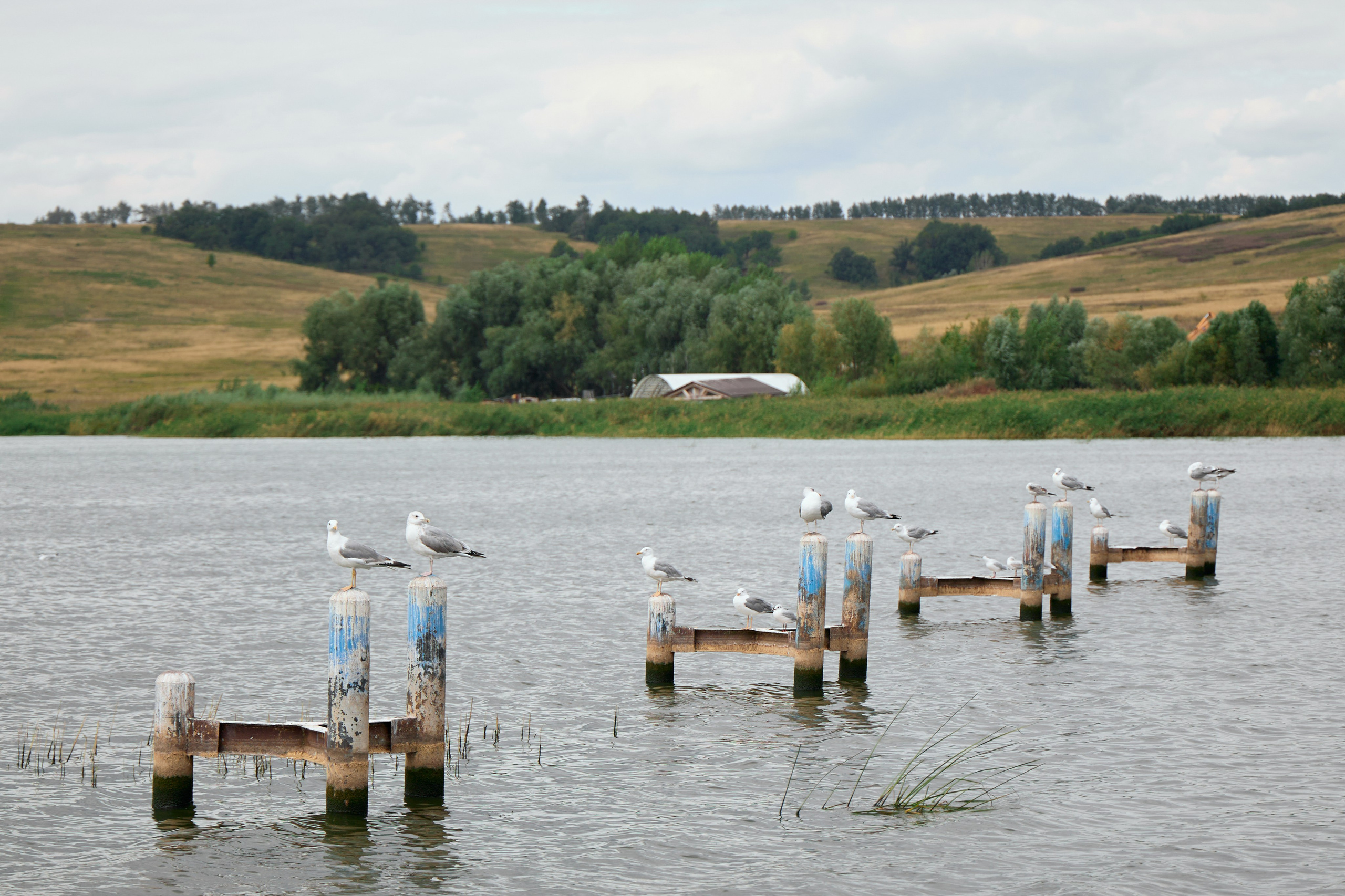 Кутулукское водохранилище. Свадебная фотосессия Иванов Дмитрий