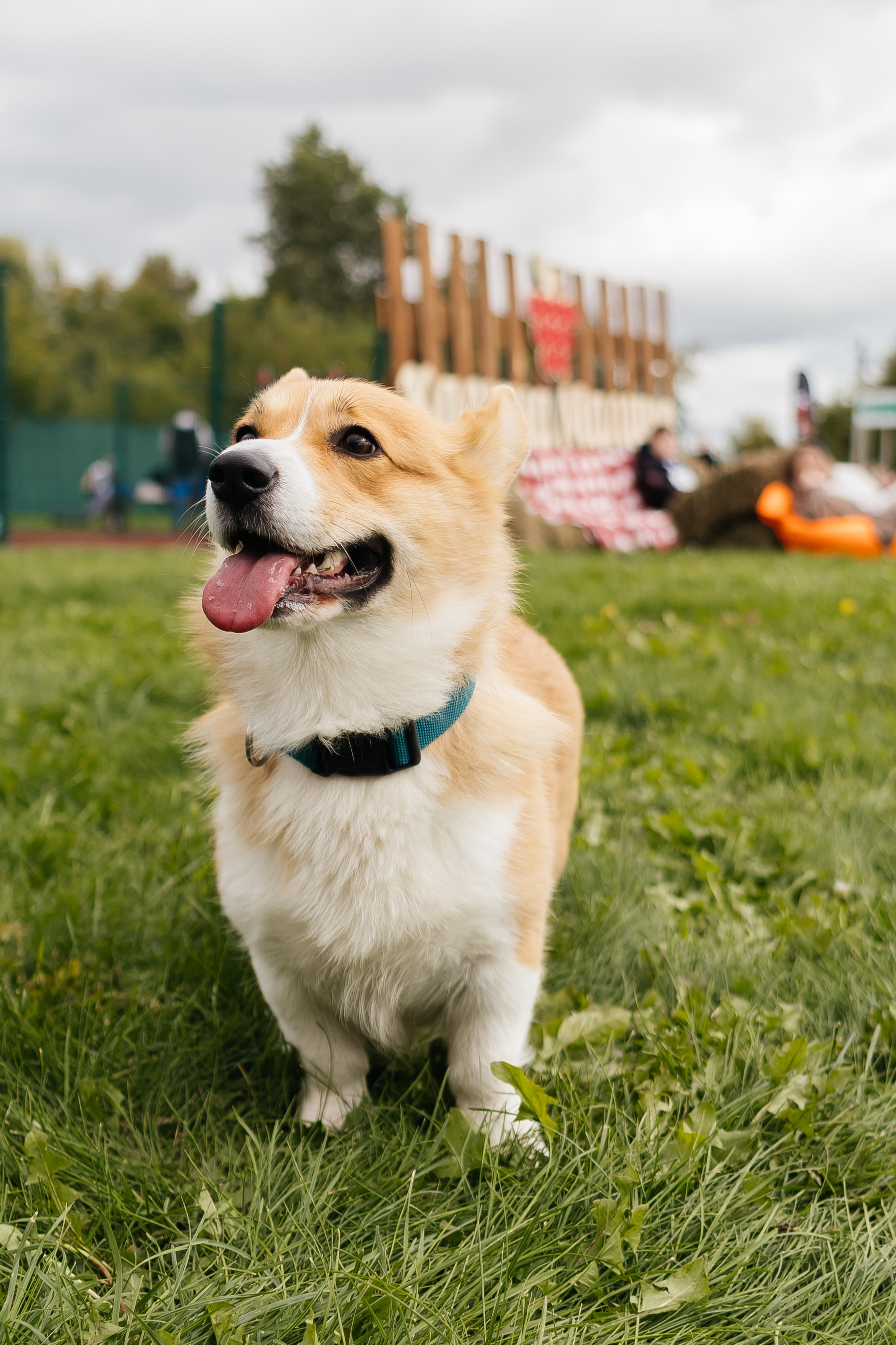 Спартакиада Волковгрупп. Фотограф Кемерово | Сергей