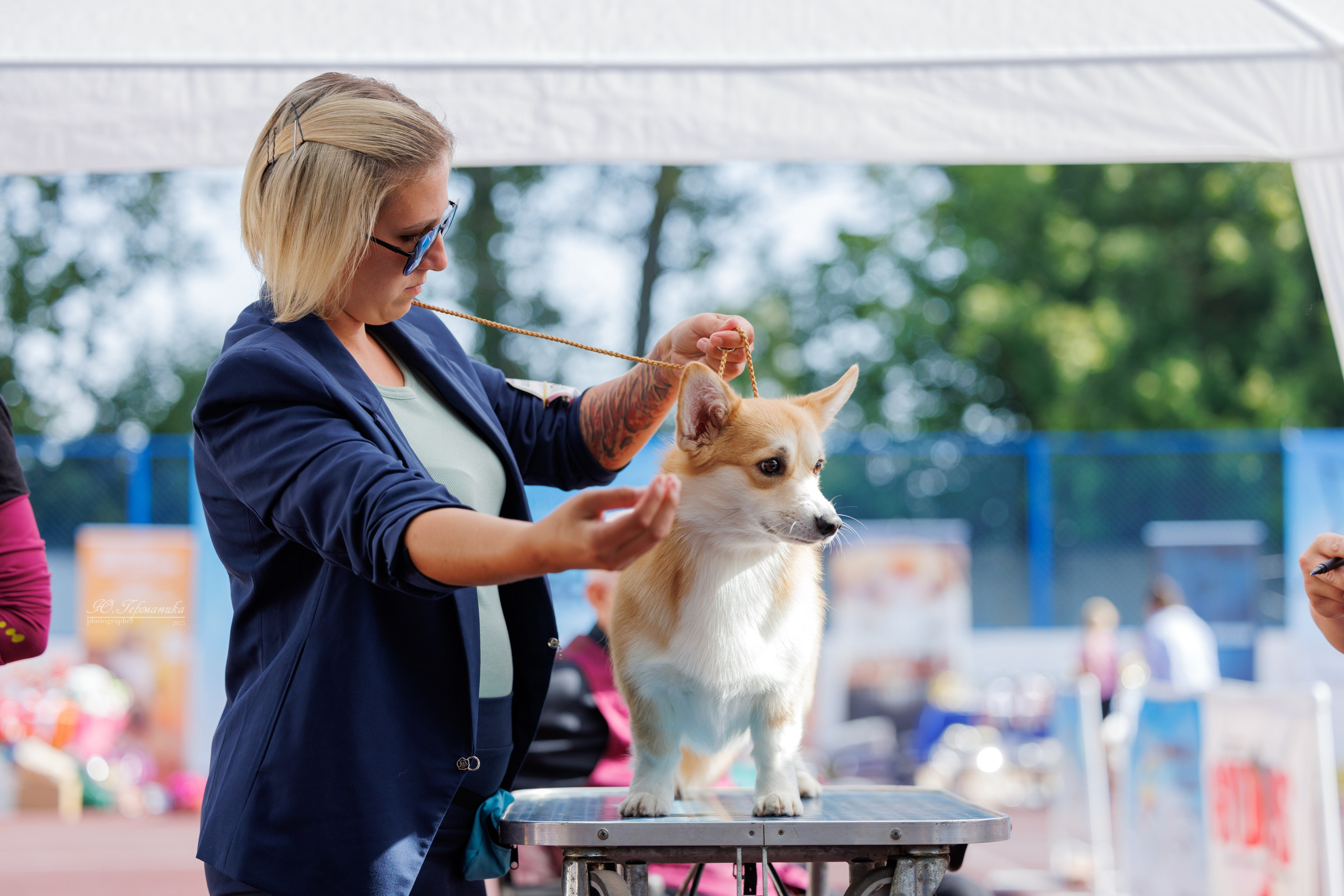 Коломна 30.08.2025. Фотограф-анималист Юлия Германика
