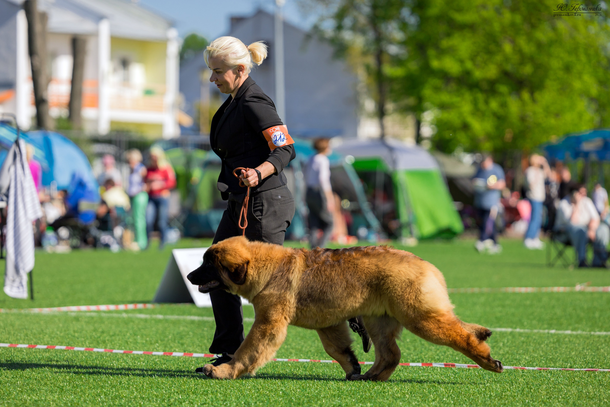 Суздаль 18-19.05.2024. Фотограф-анималист Юлия Германика