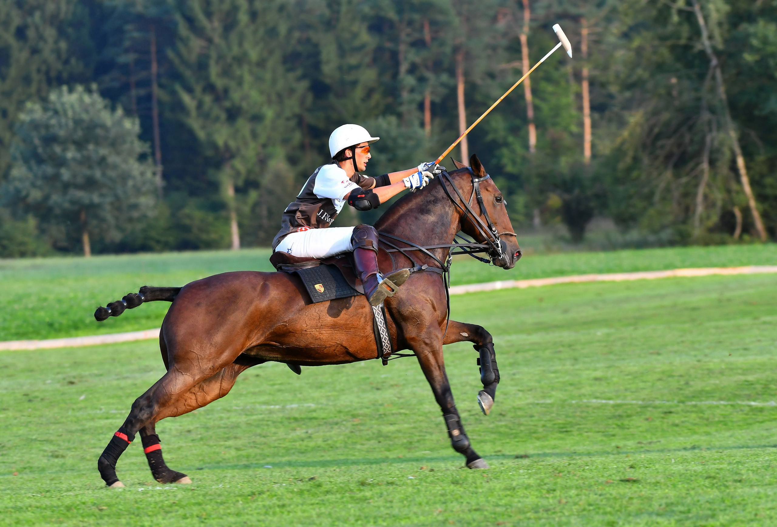 Polo art photos. Art photos of horses — ARTUR BABOEV | Photographer