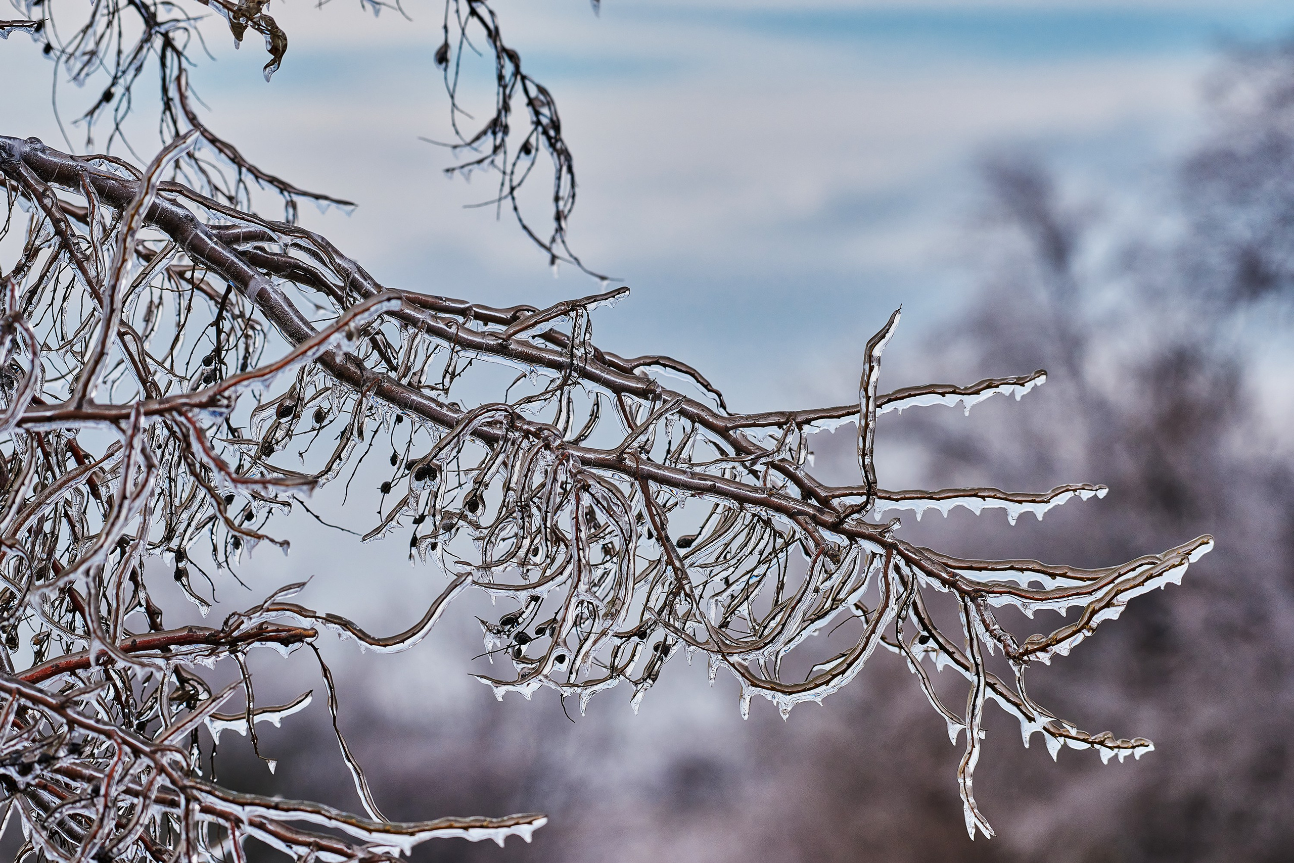 Текстуры и другие фоны. Textures and other. Яркие фото на Чёрном море