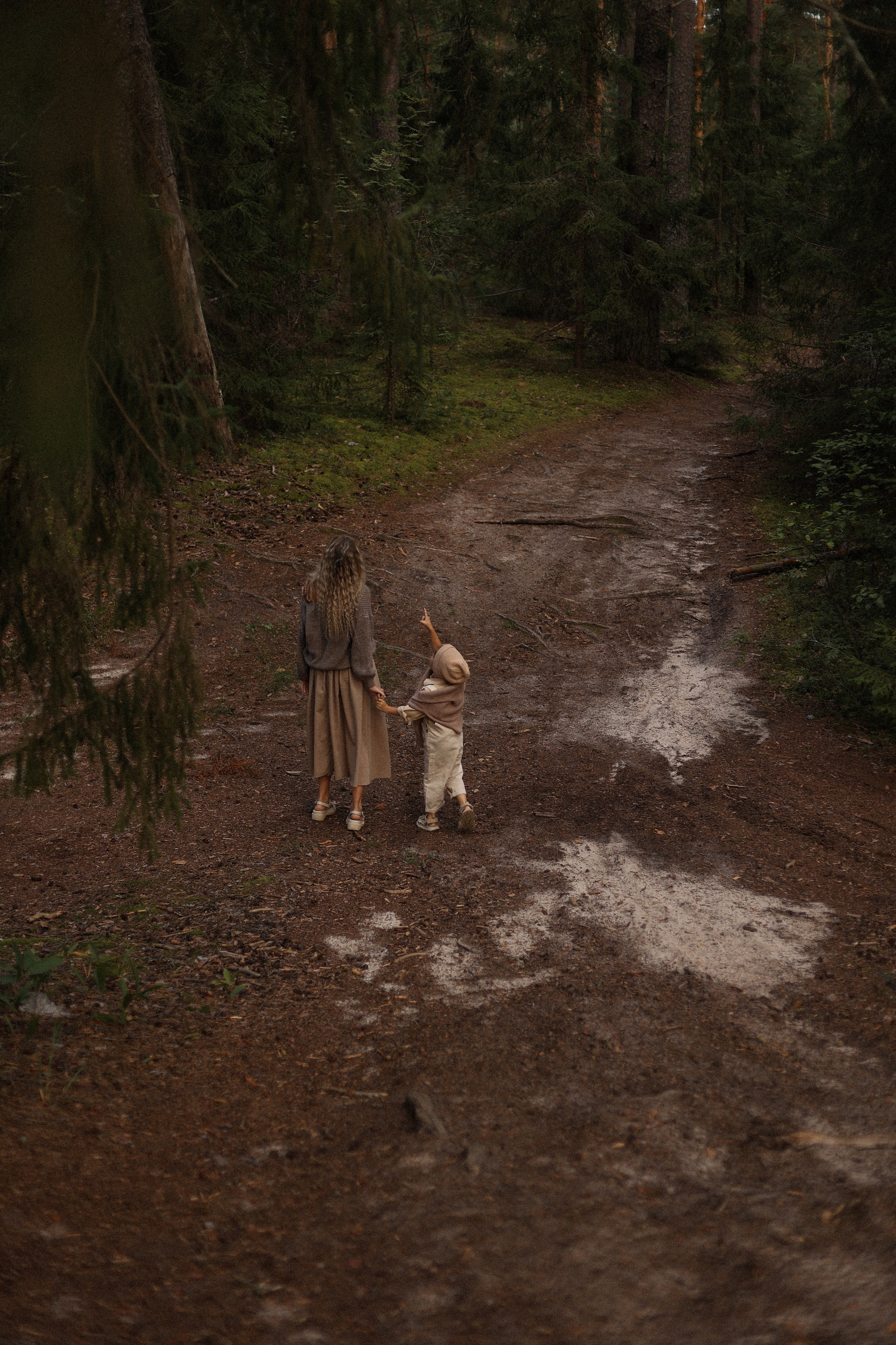 Дротики. Фотограф — Ольга Косолюкина