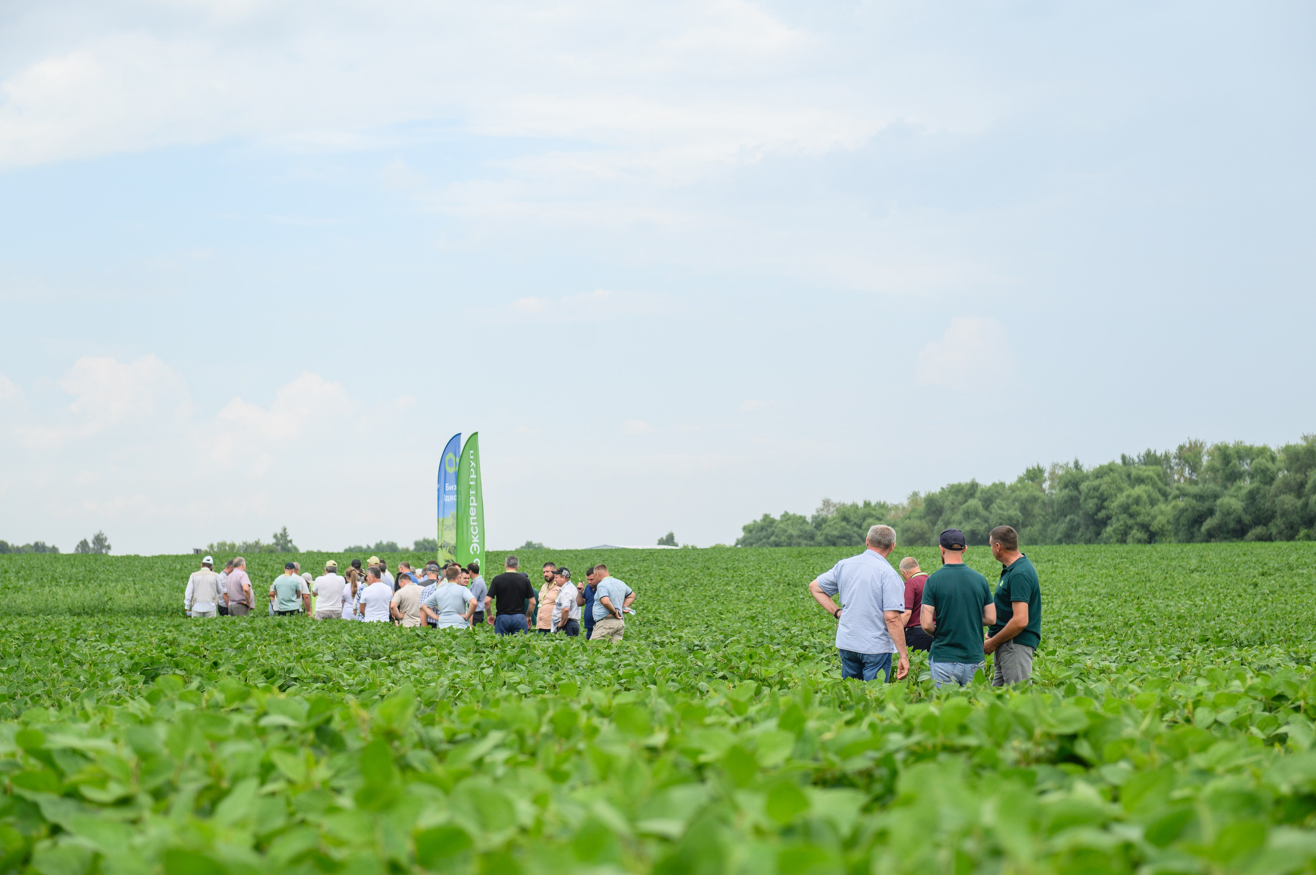 Проекты. Профессиональный фотограф Вячеслав Плацында | Липецк |