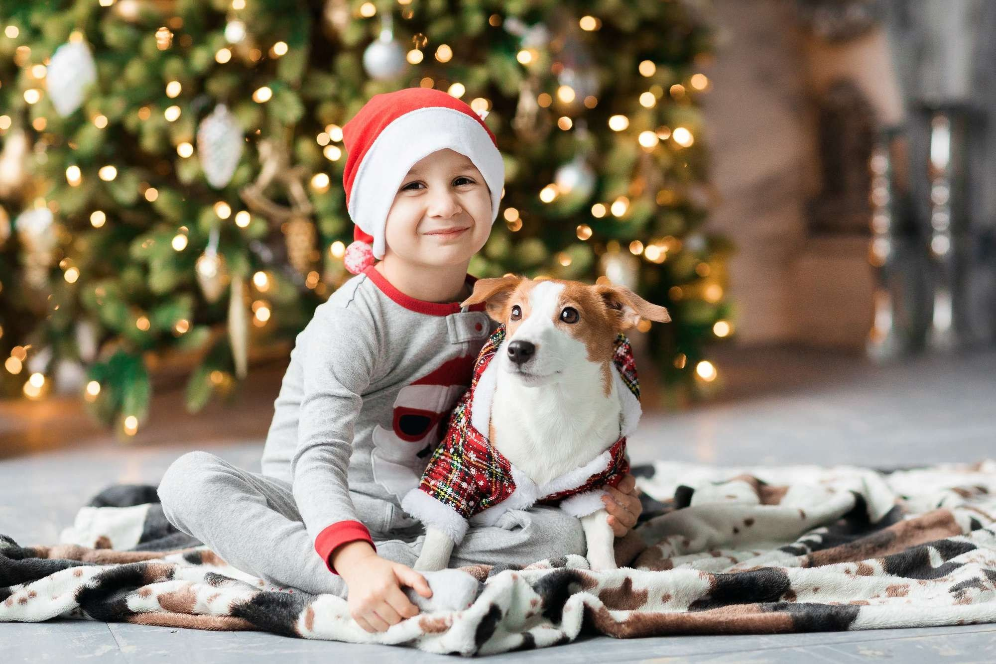 Новогодняя семейняя фотосессия семьи Юлии