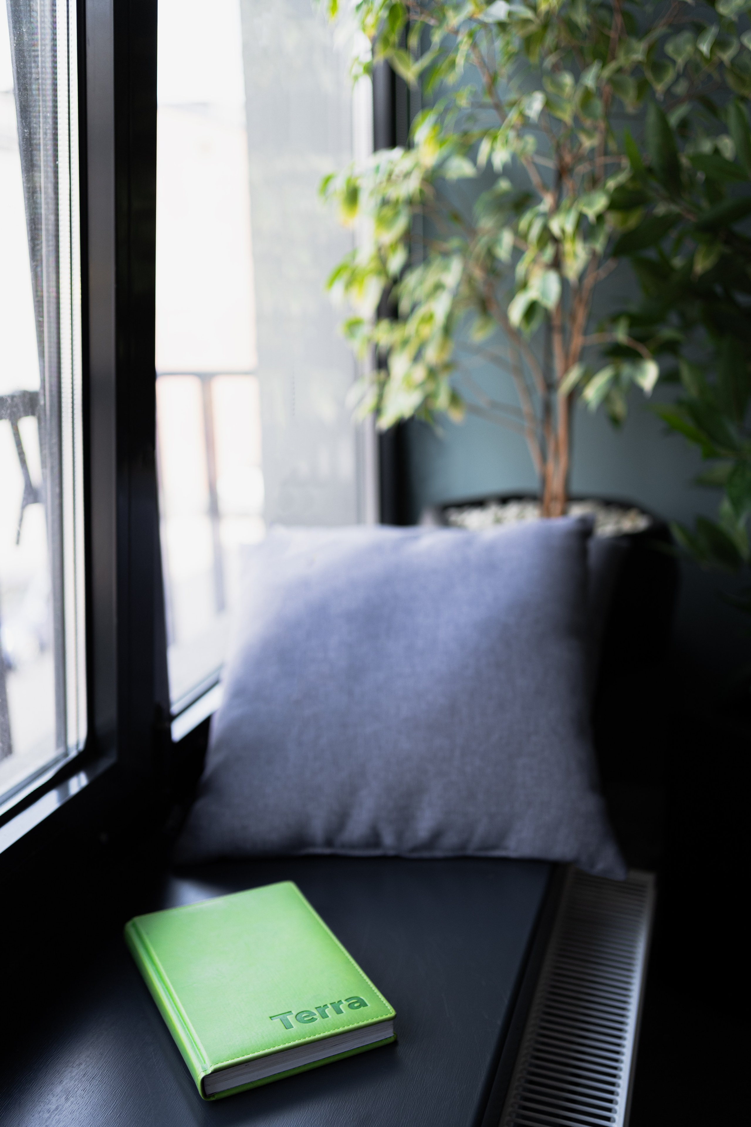 Terra. Елена Пашкевич, фотограф, Москва