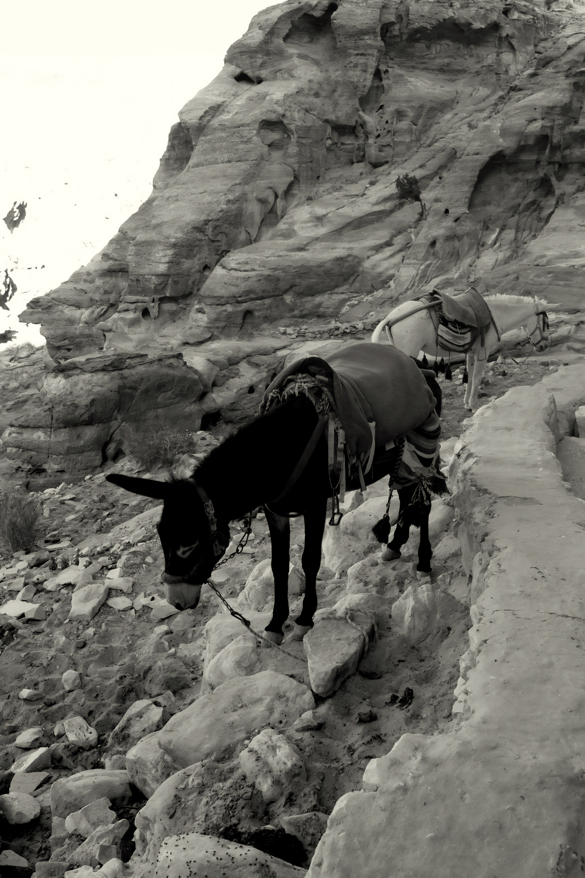 Турция, Греция, Иордания. Фотограф в Хабаровске. Фотография за 24 часа