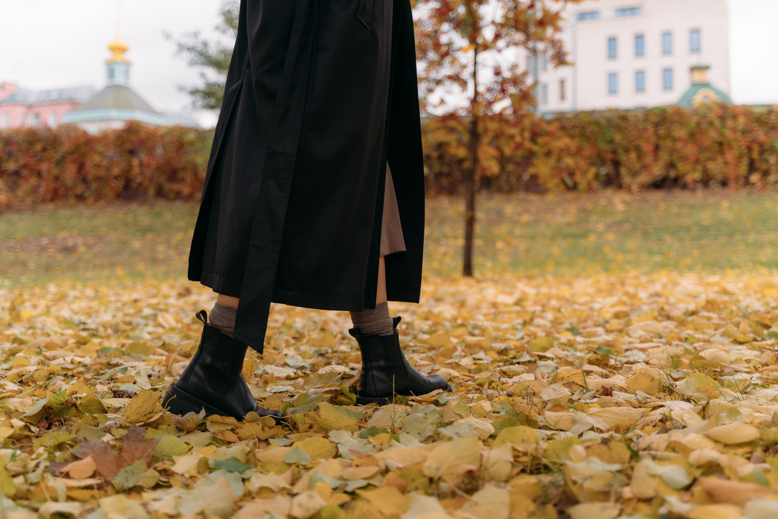 Осенняя история. FotoTanya. Раменское/Жуковский/Бронницы