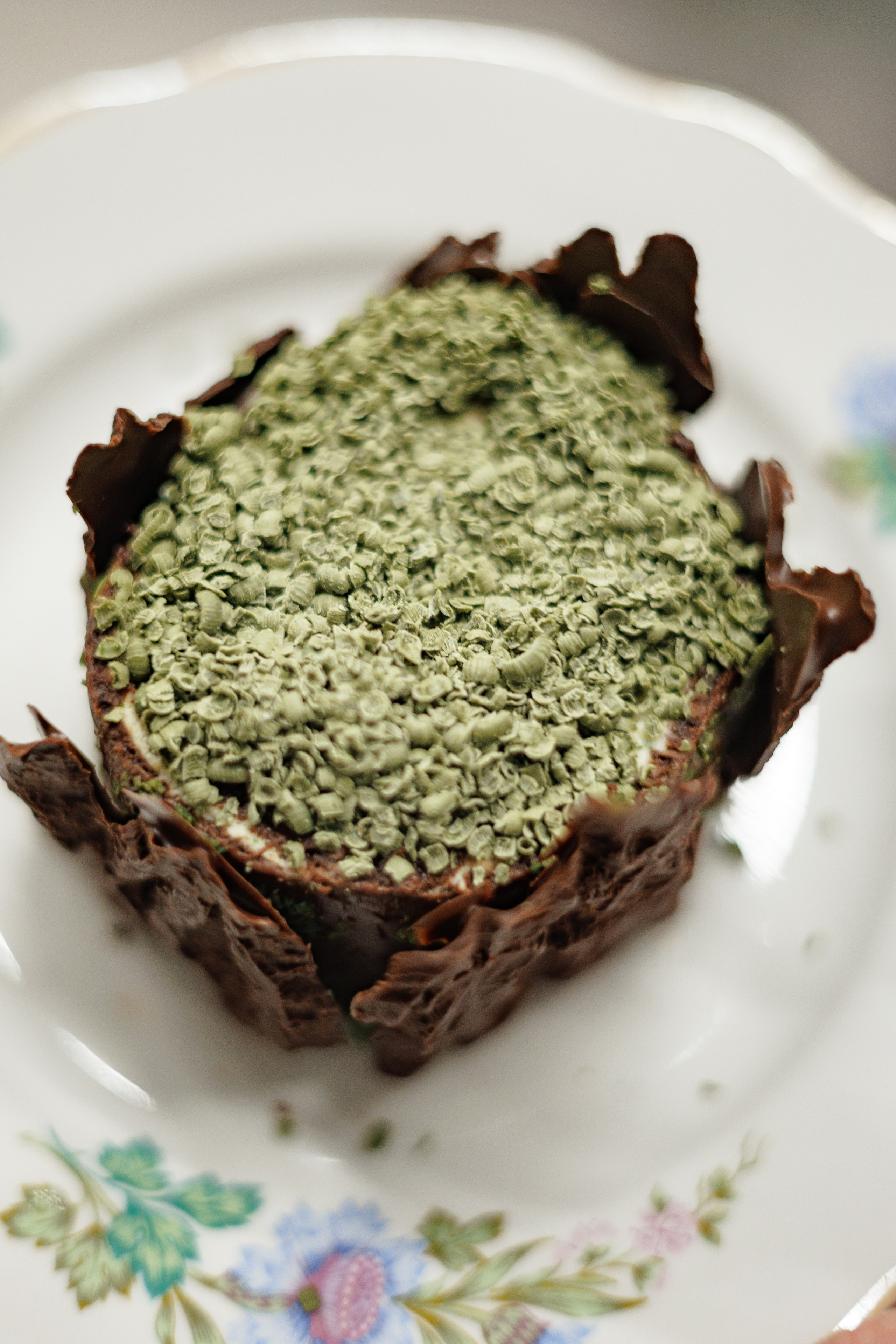 Гастроужин Поселенцы в гостях у Самозванцев