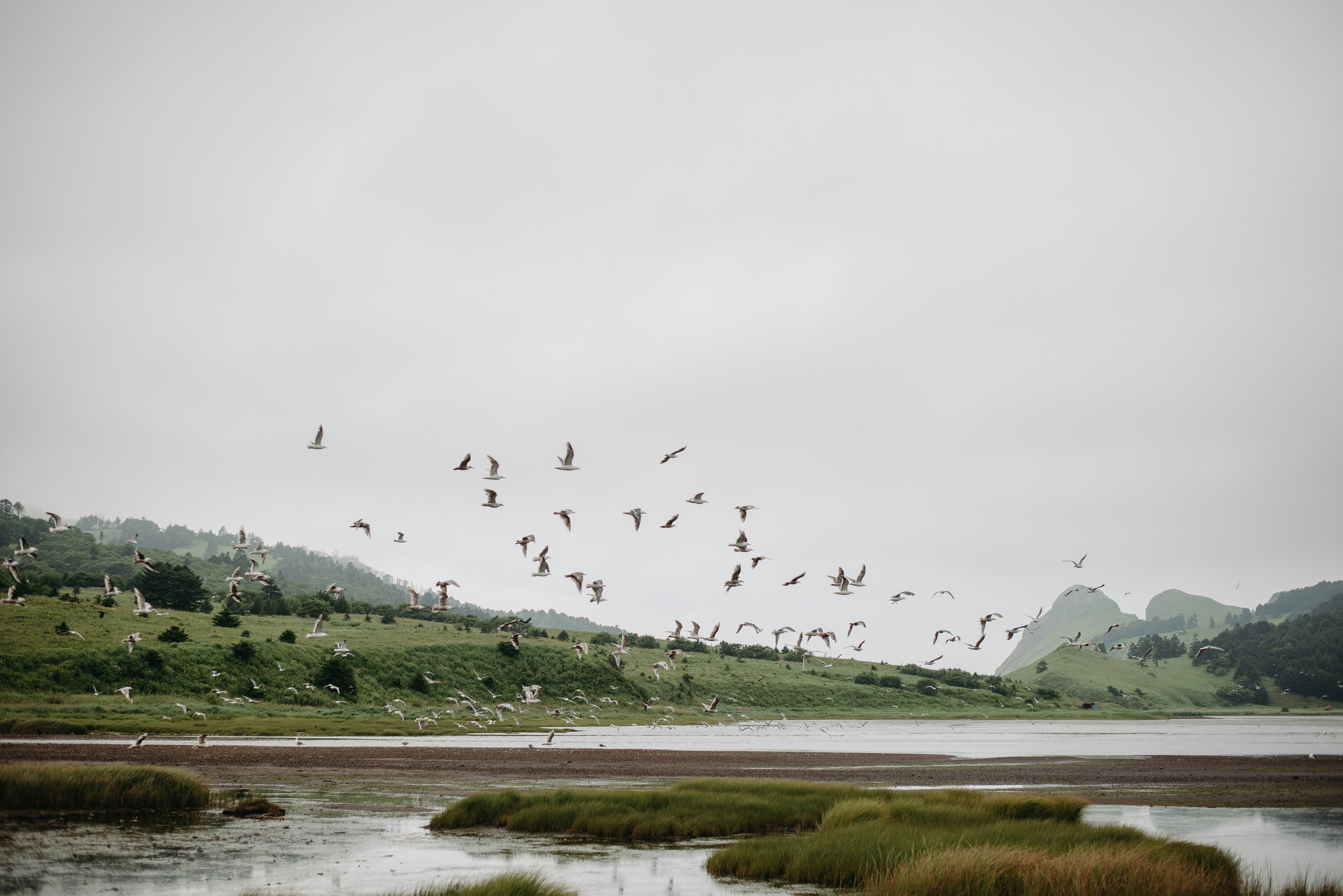 Оля и Егор. Ирина Метелица фотограф на Шикотане