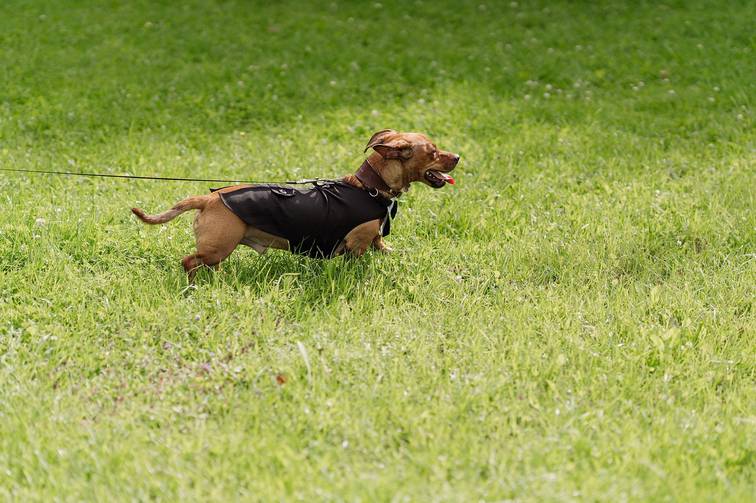 Клкллкаккк. Свадебный фотограф