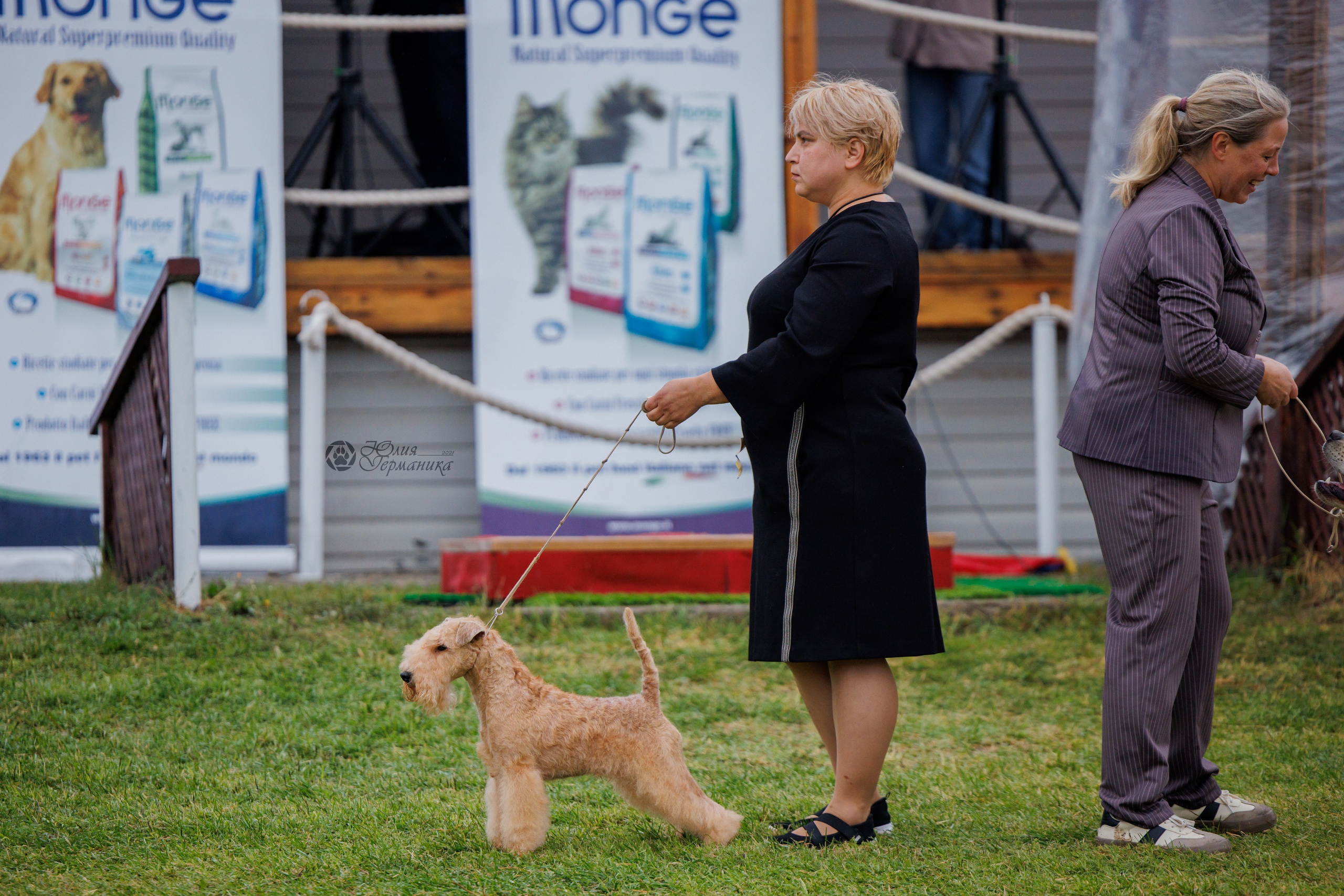 Армения,Ереван 3хCACIB 15-17.10.2024. Фотограф-анималист Юлия Германика