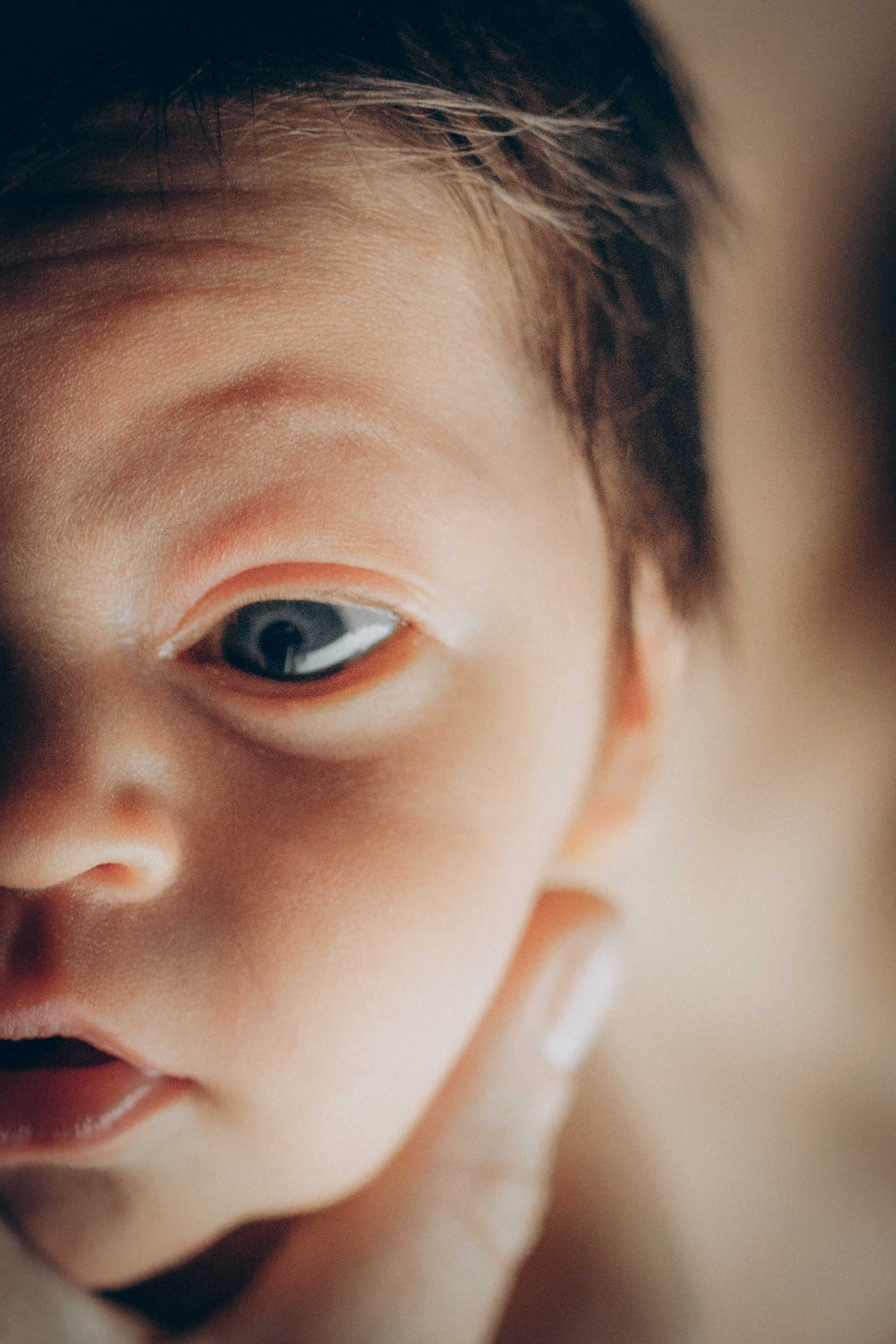Вика, Вова и Федя. Семейный фотограф и фотограф на роды в Ростове-на-Дону Мухина Виктория